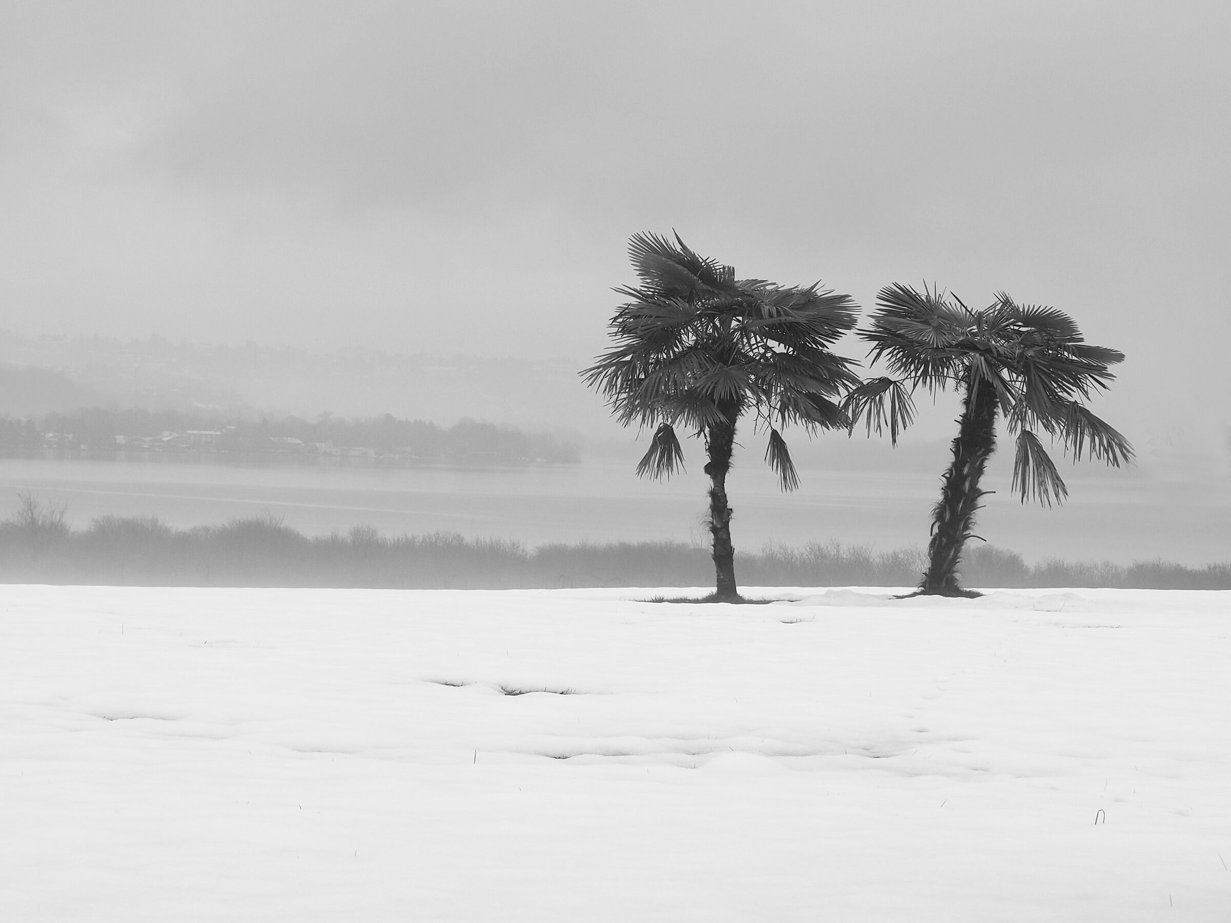 After a snowfall