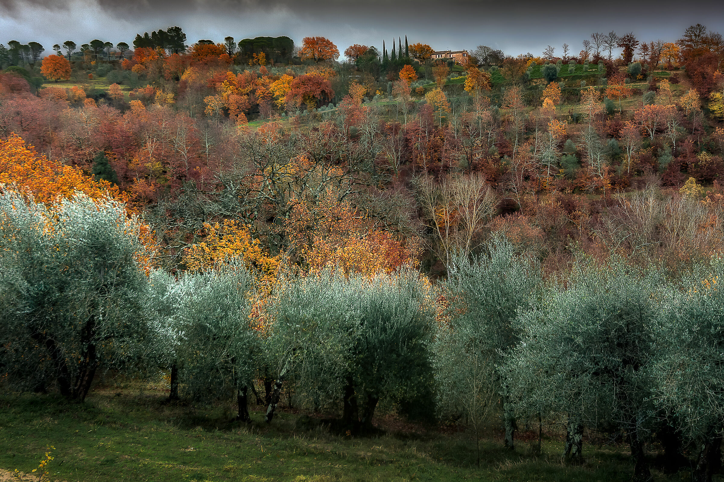 un giorno di ordinaria pioggia d'autunno
