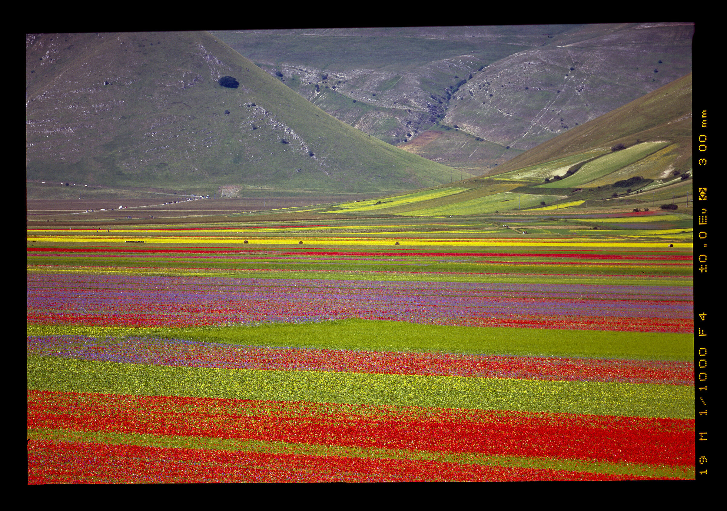 Castelluccio in velvia 50