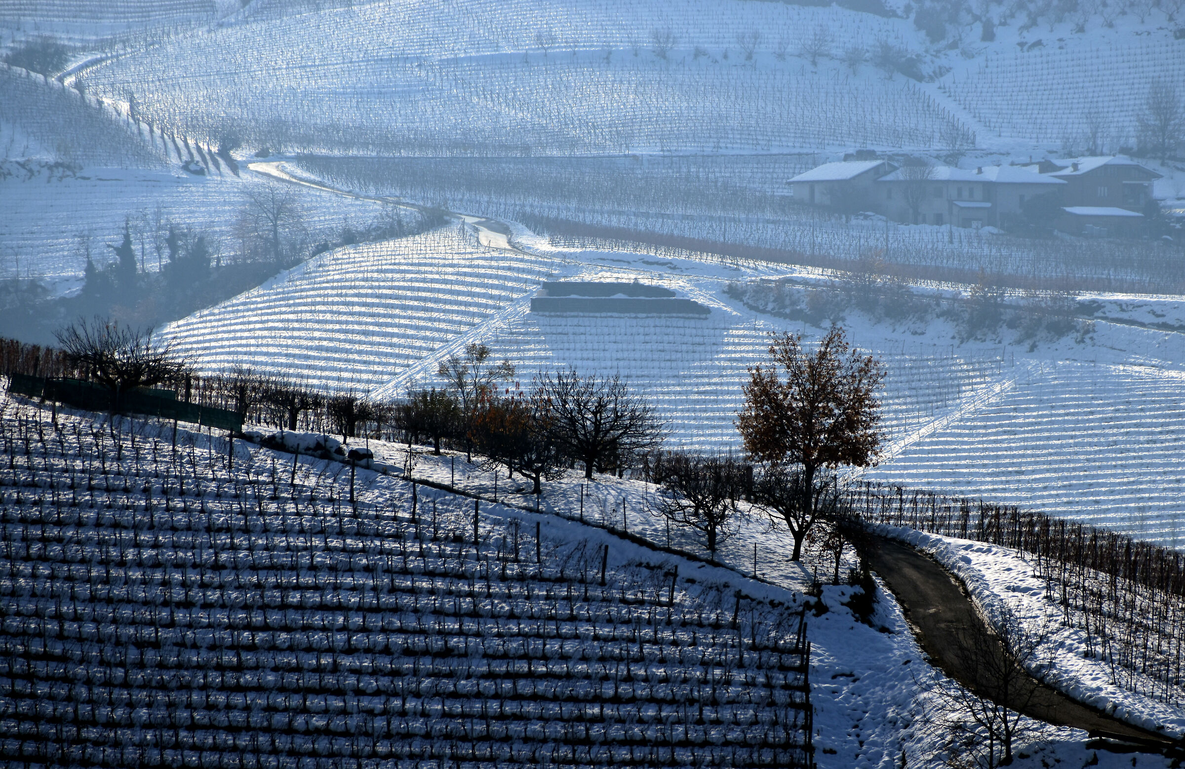 La strada verso casa