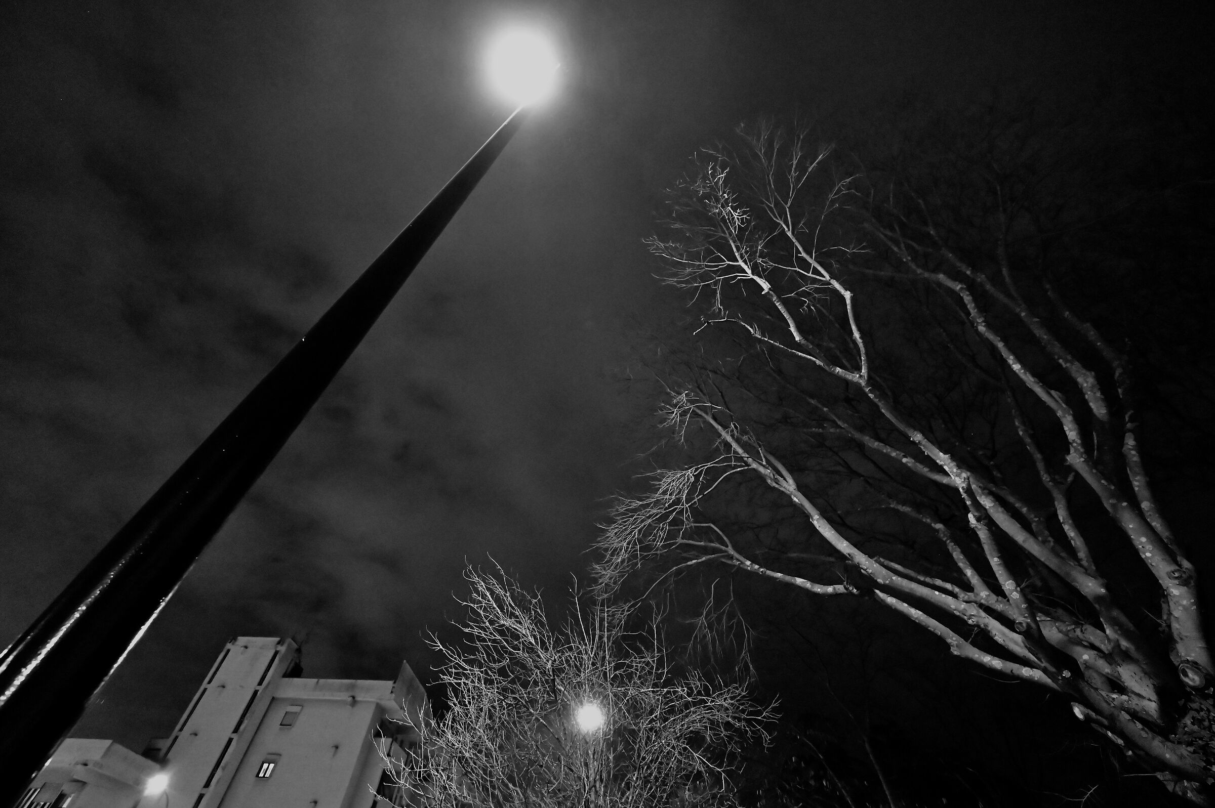 the night