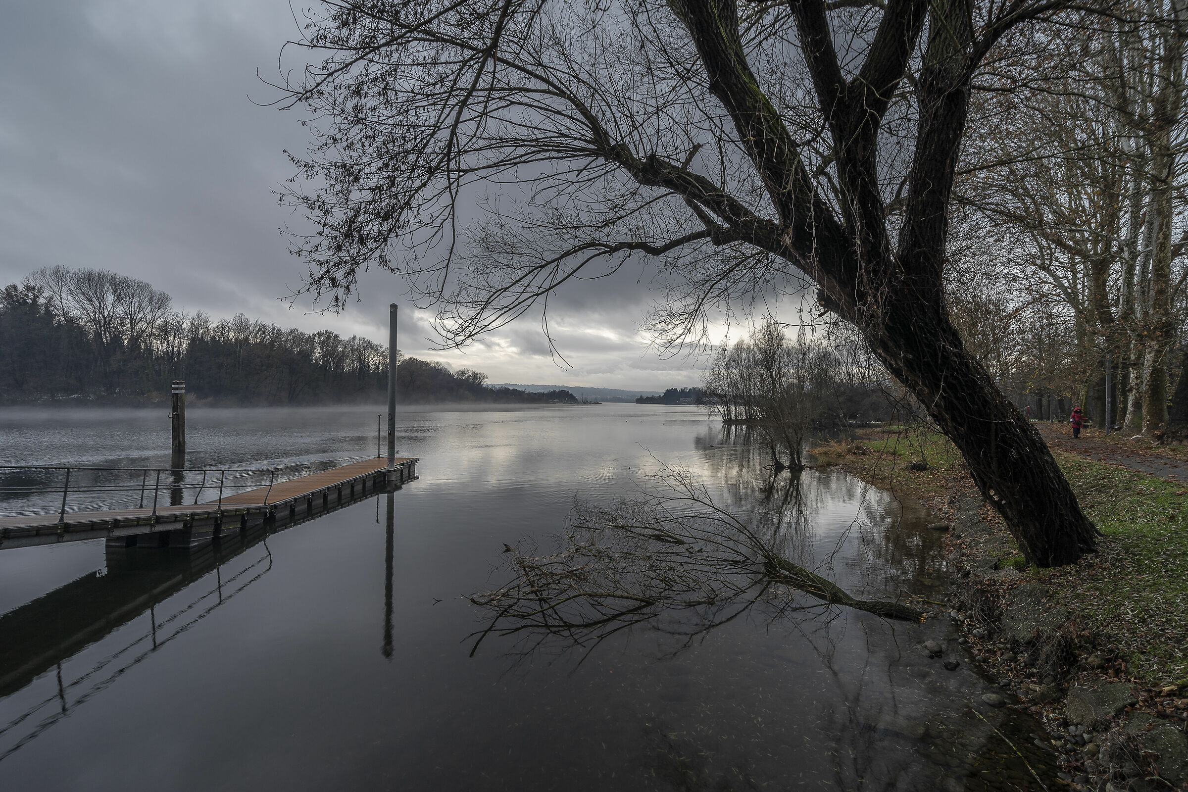 Domenica 6 dicembre 2020, 15:59:48