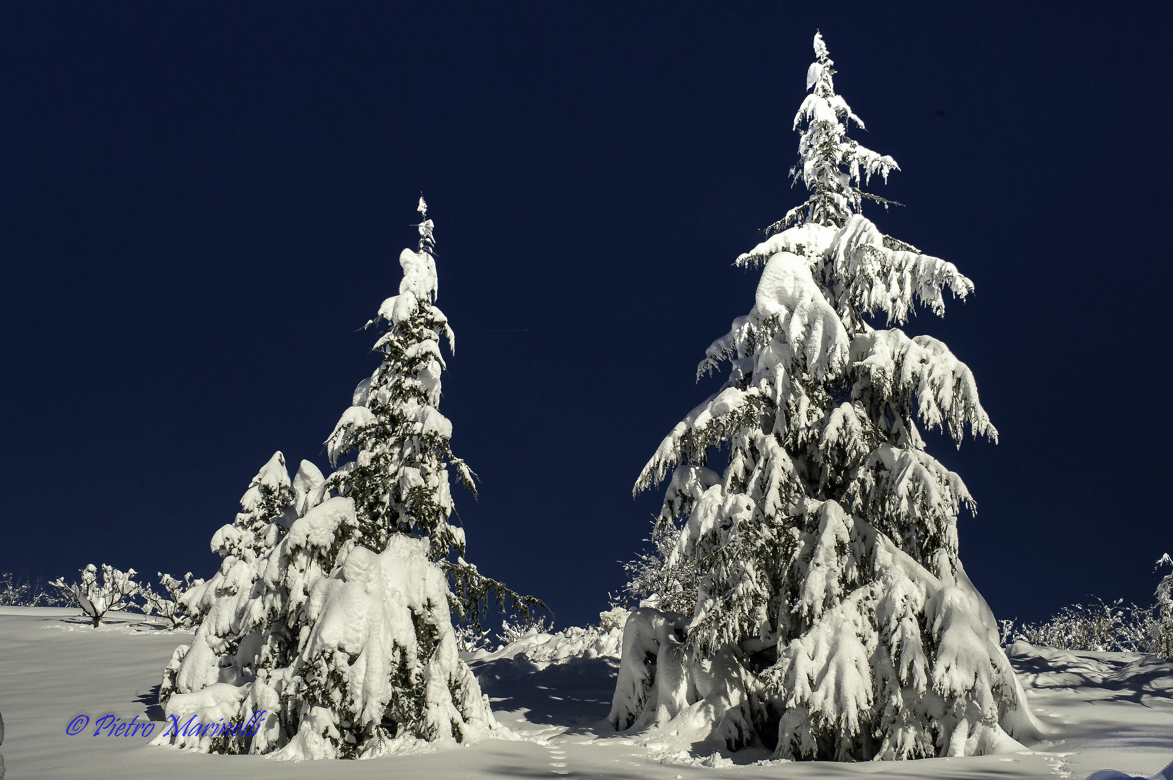 Quando un giorno sarai grande....
