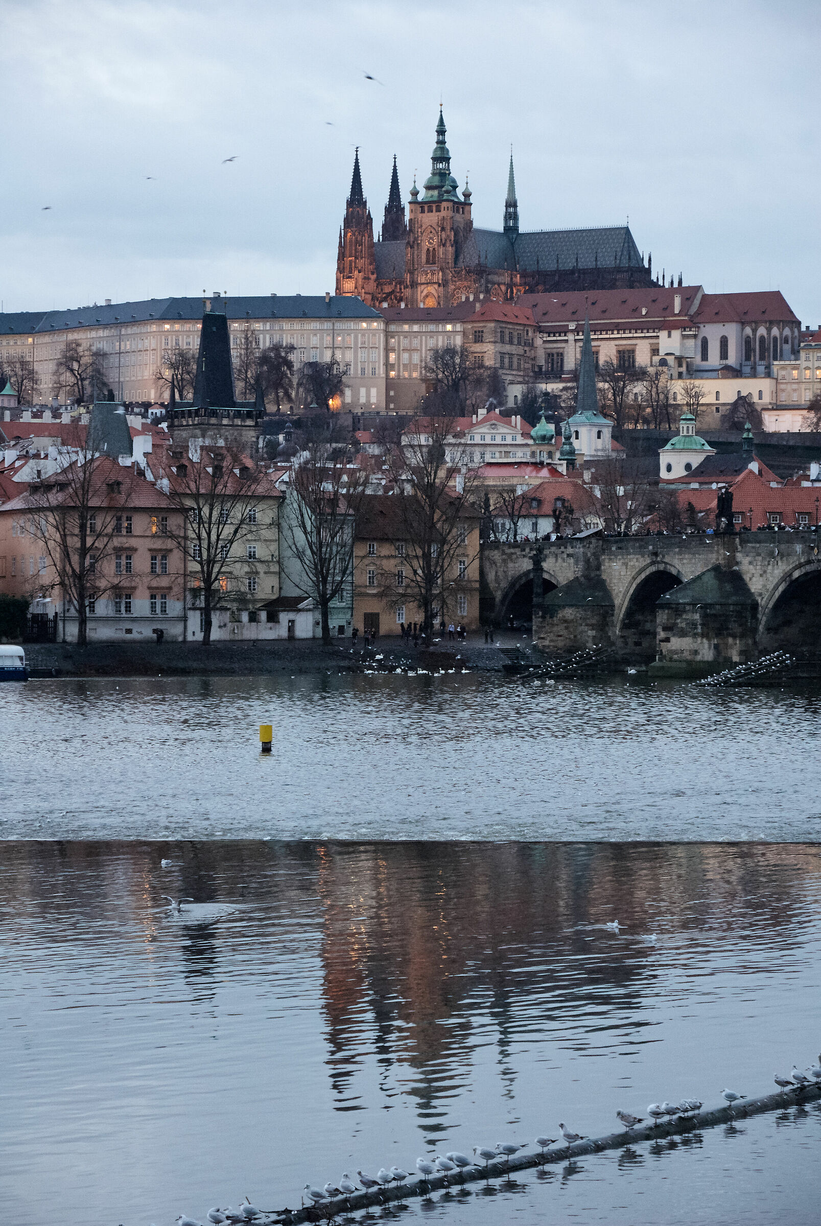 Prague - St. Vitus Cathedral