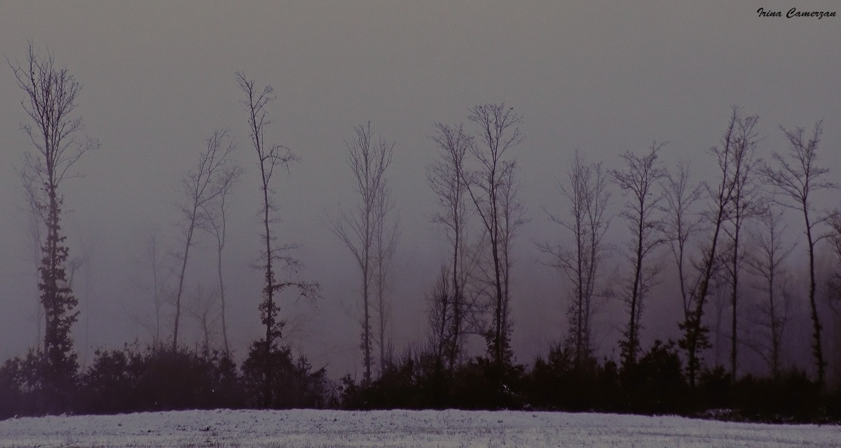 l'umana solitudine ..
