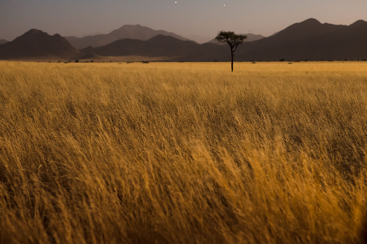 La carezza della notte.