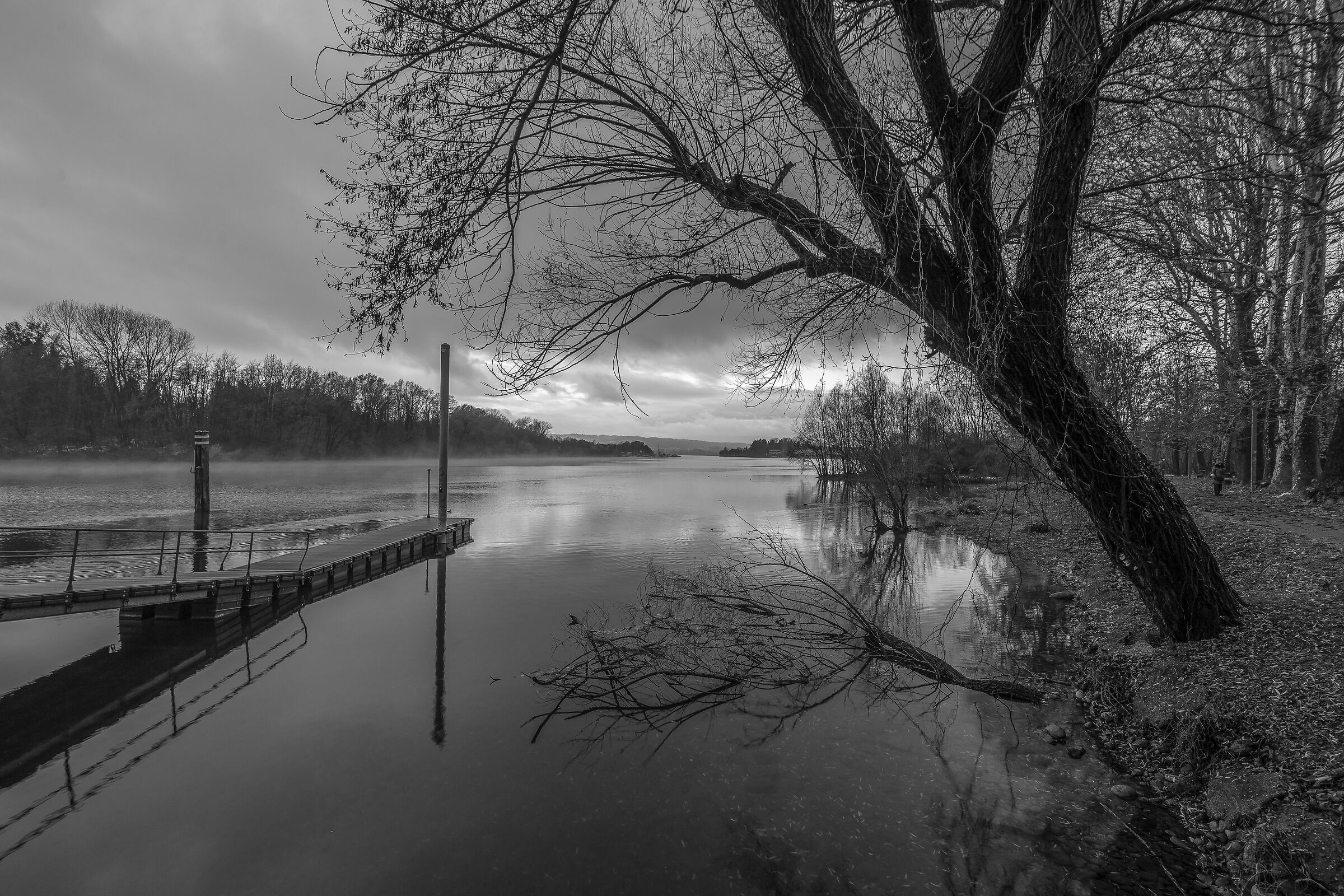 Sunday 6 December 2020, 15:59:48 - Monochrome