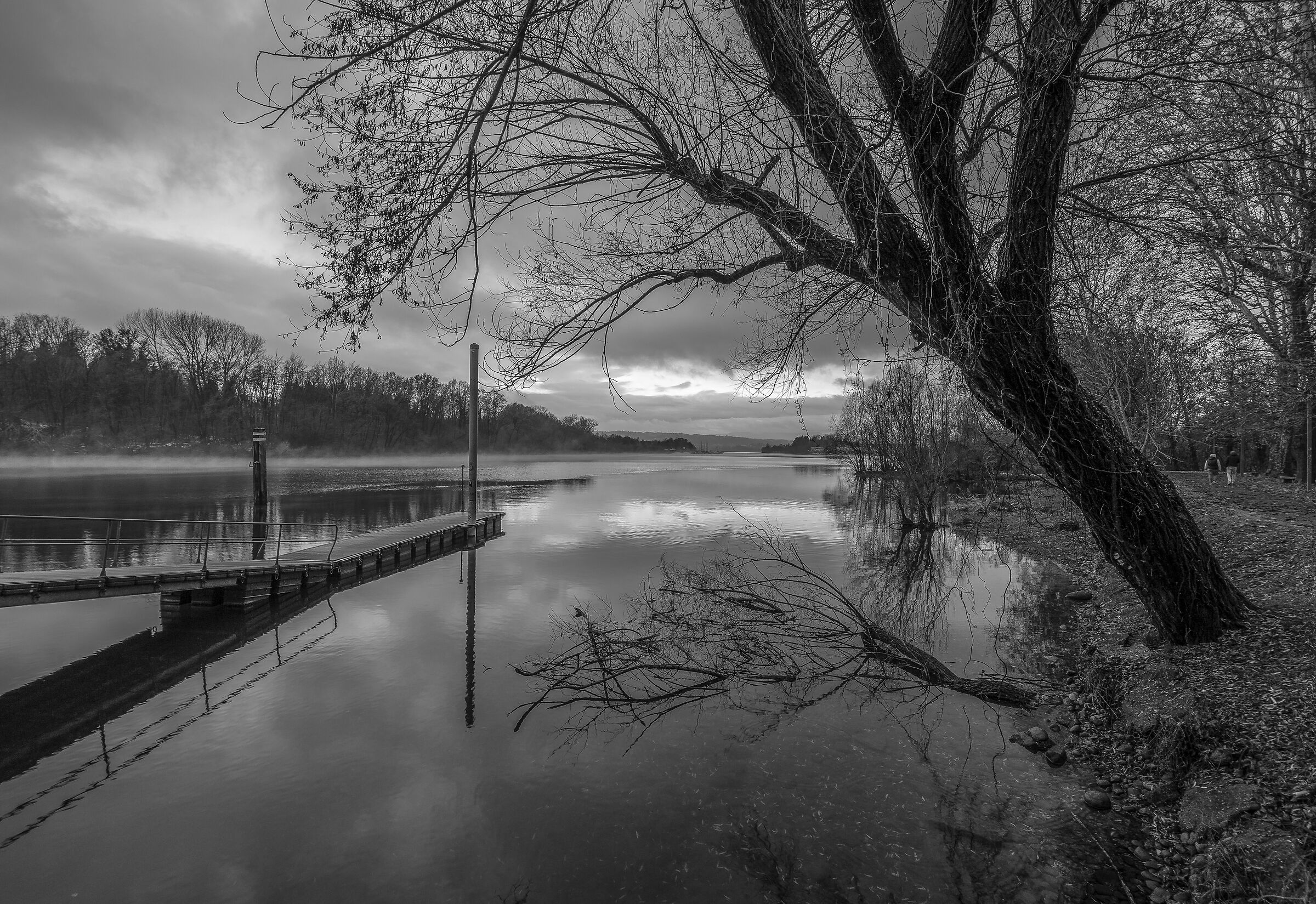 Sunday 6 December 2020, 16:06:14 - Monochrome