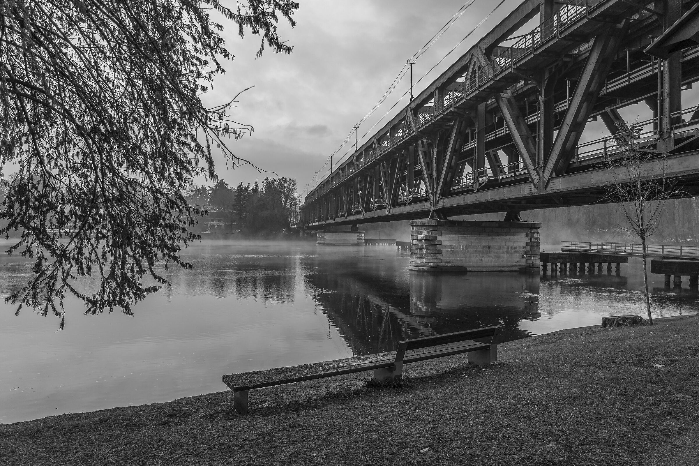 Domenica 6 dicembre 2020, 16:24:00 - Monocromatica