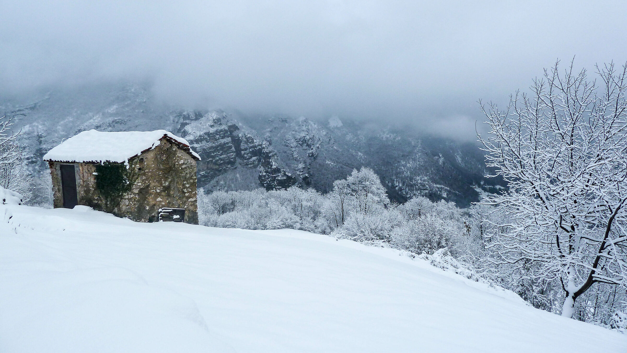 Field and view on Ballabio