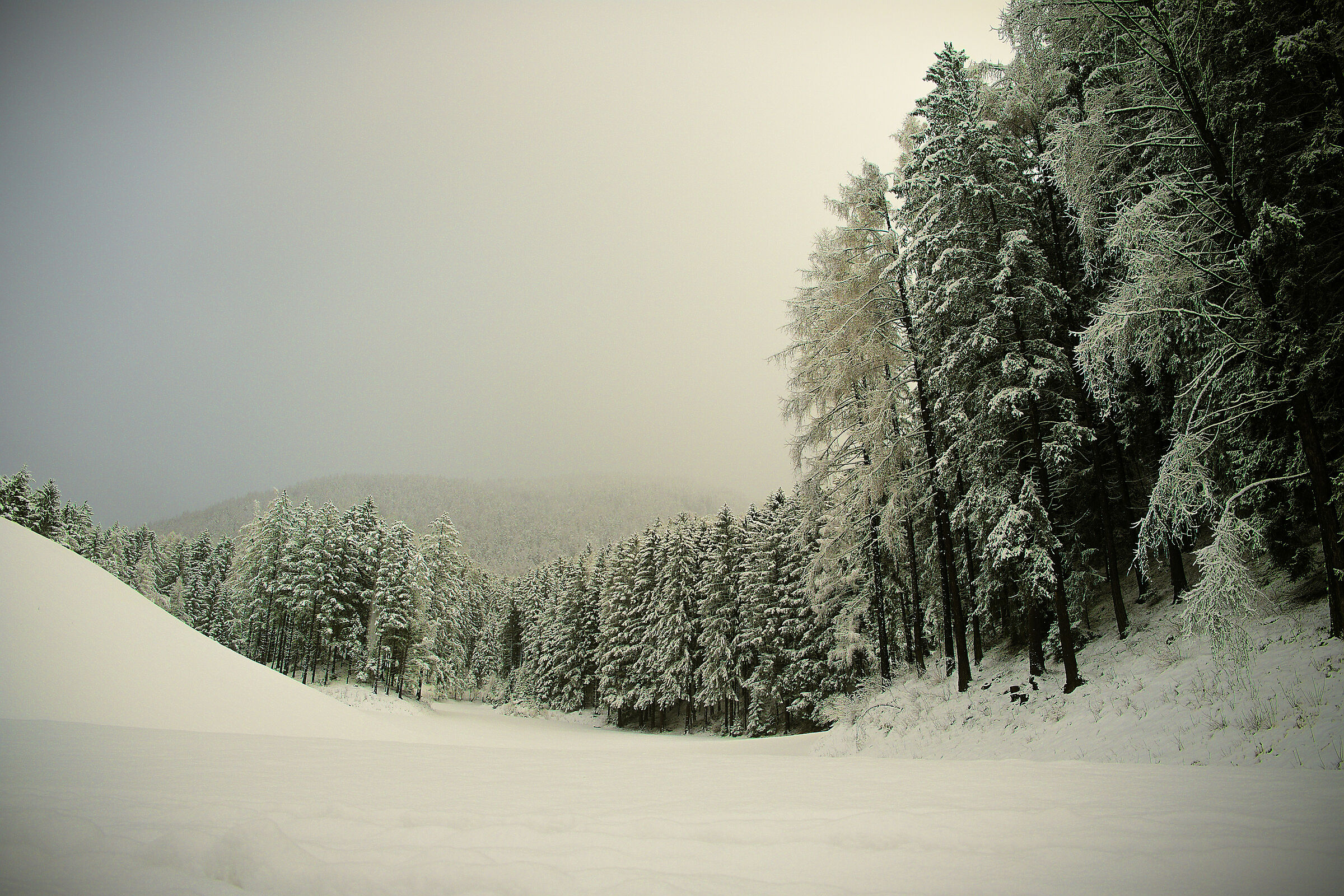 first snowfall 2020 in Walchhorn di Riscone