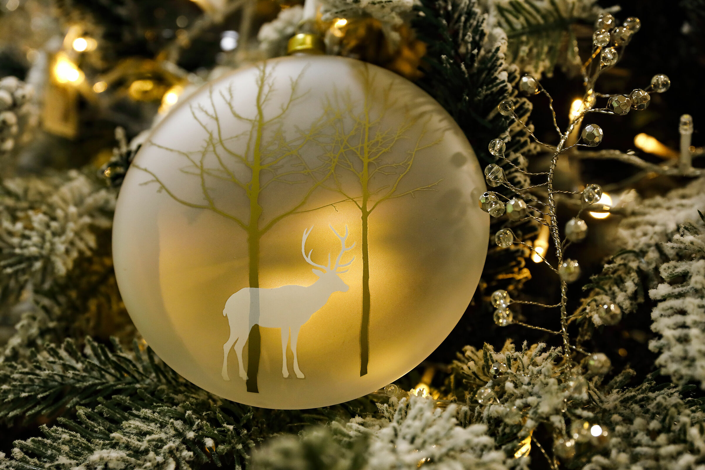 Aspettando il Natale