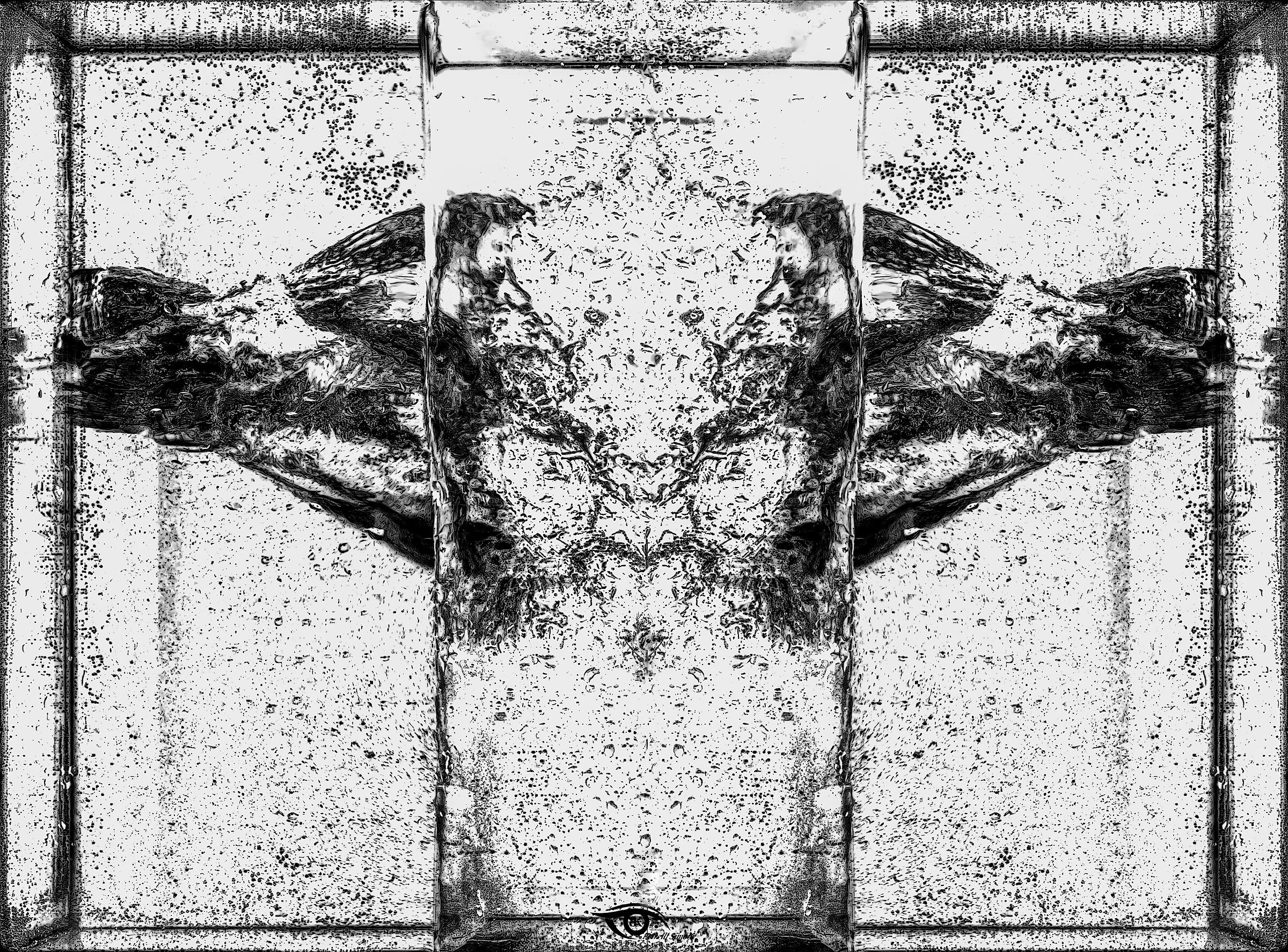 the shape of the water