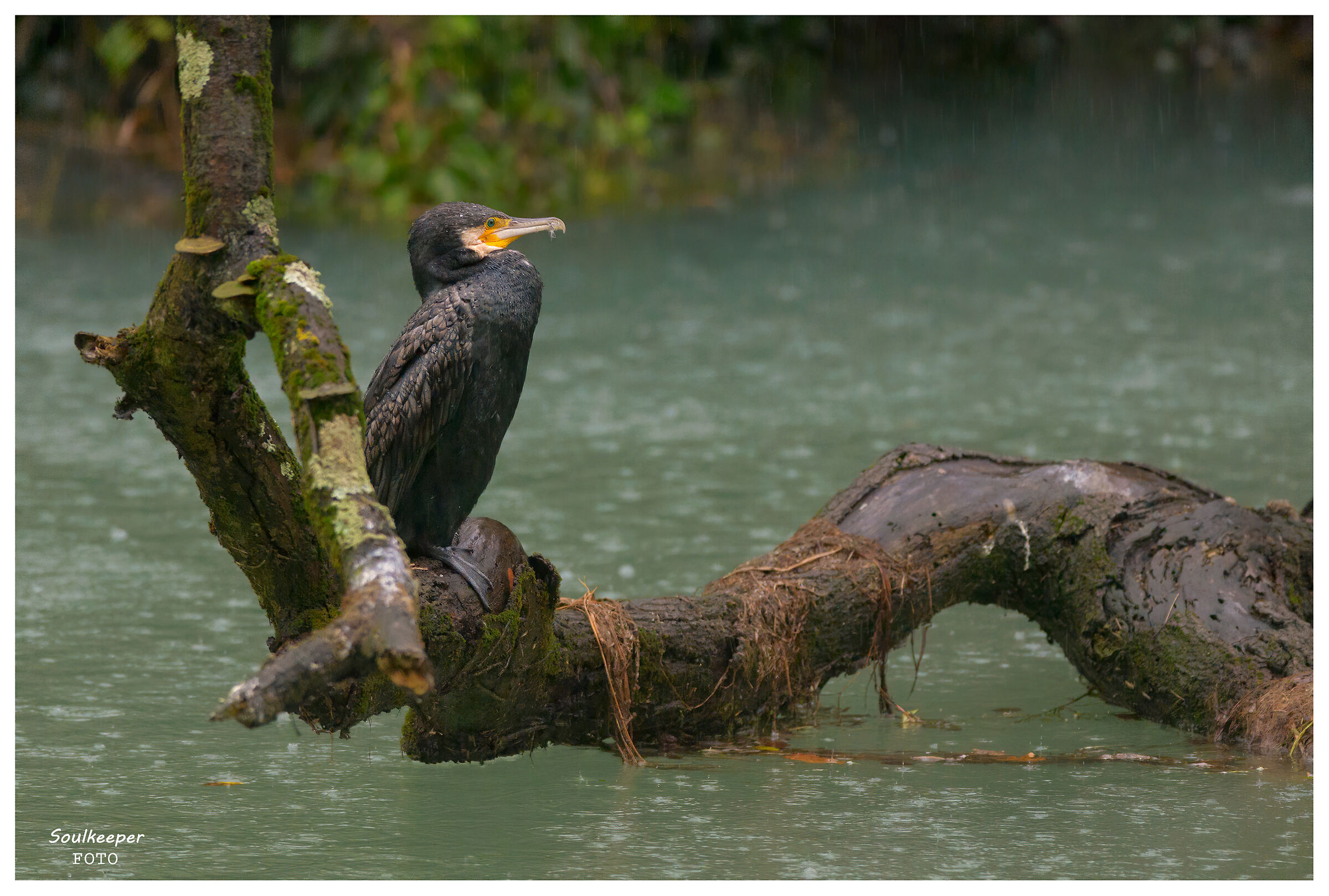 Waiting for him to stop.