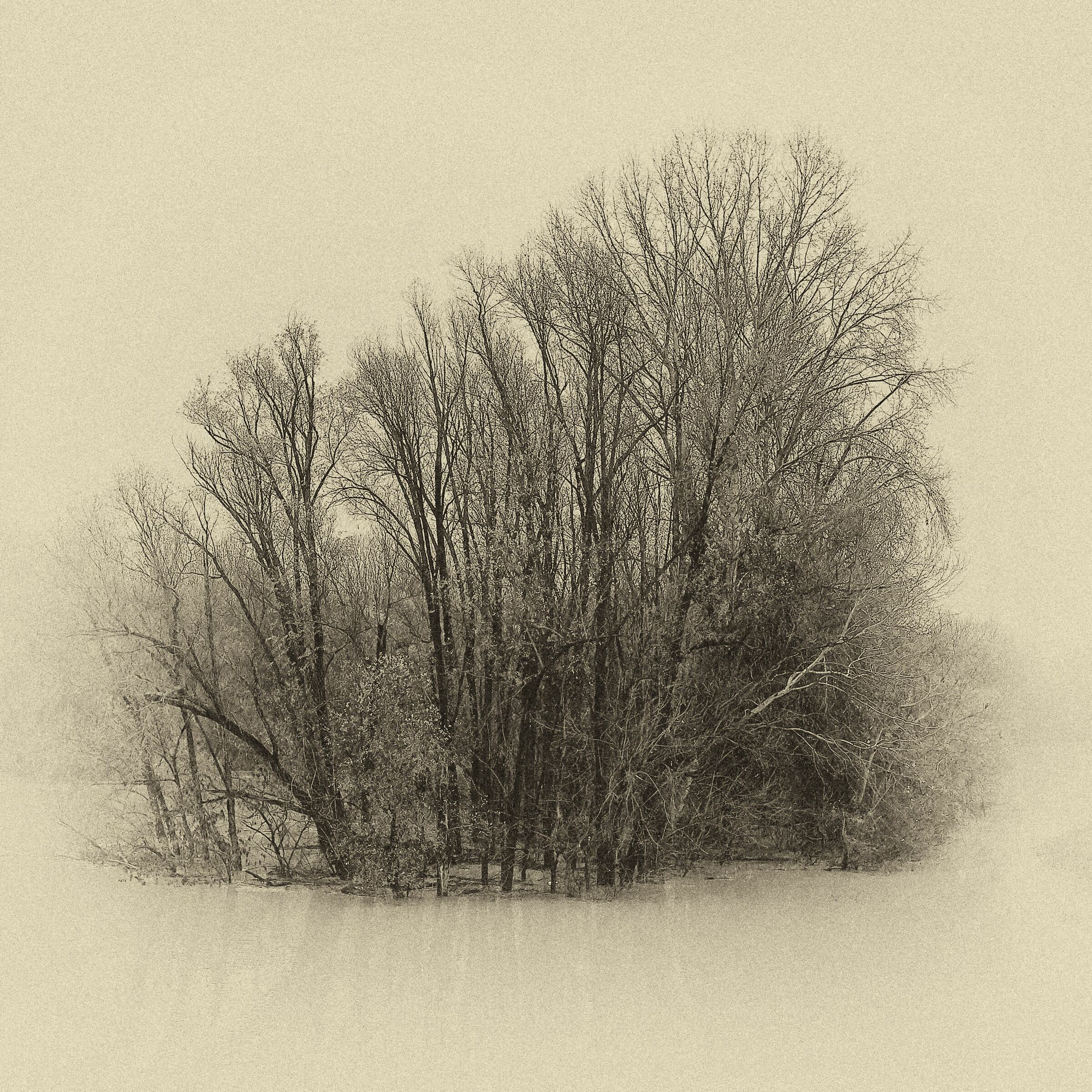 20201209_Piena Rhine River