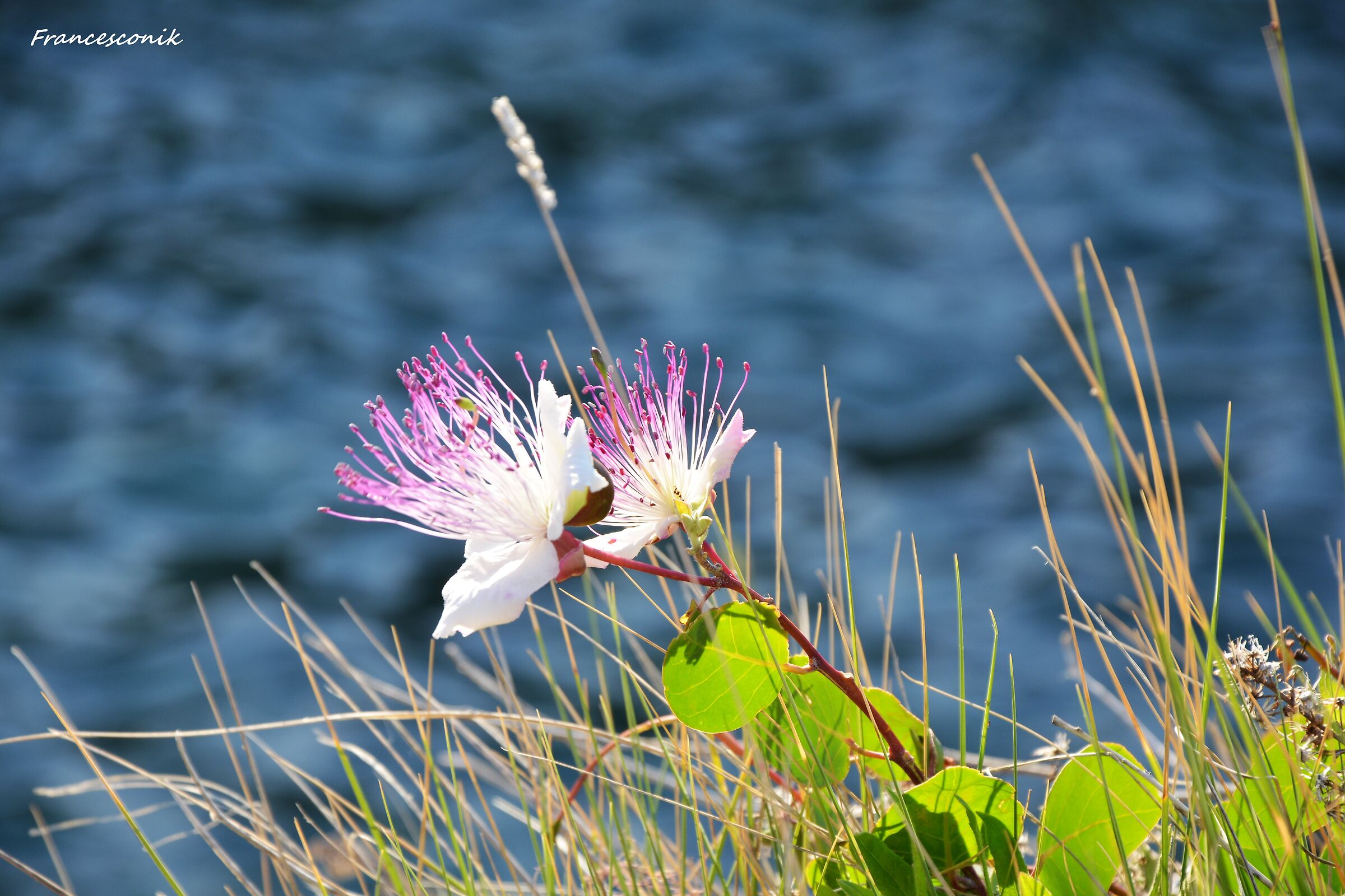 I dettagli fanno sempre la differenza !!!