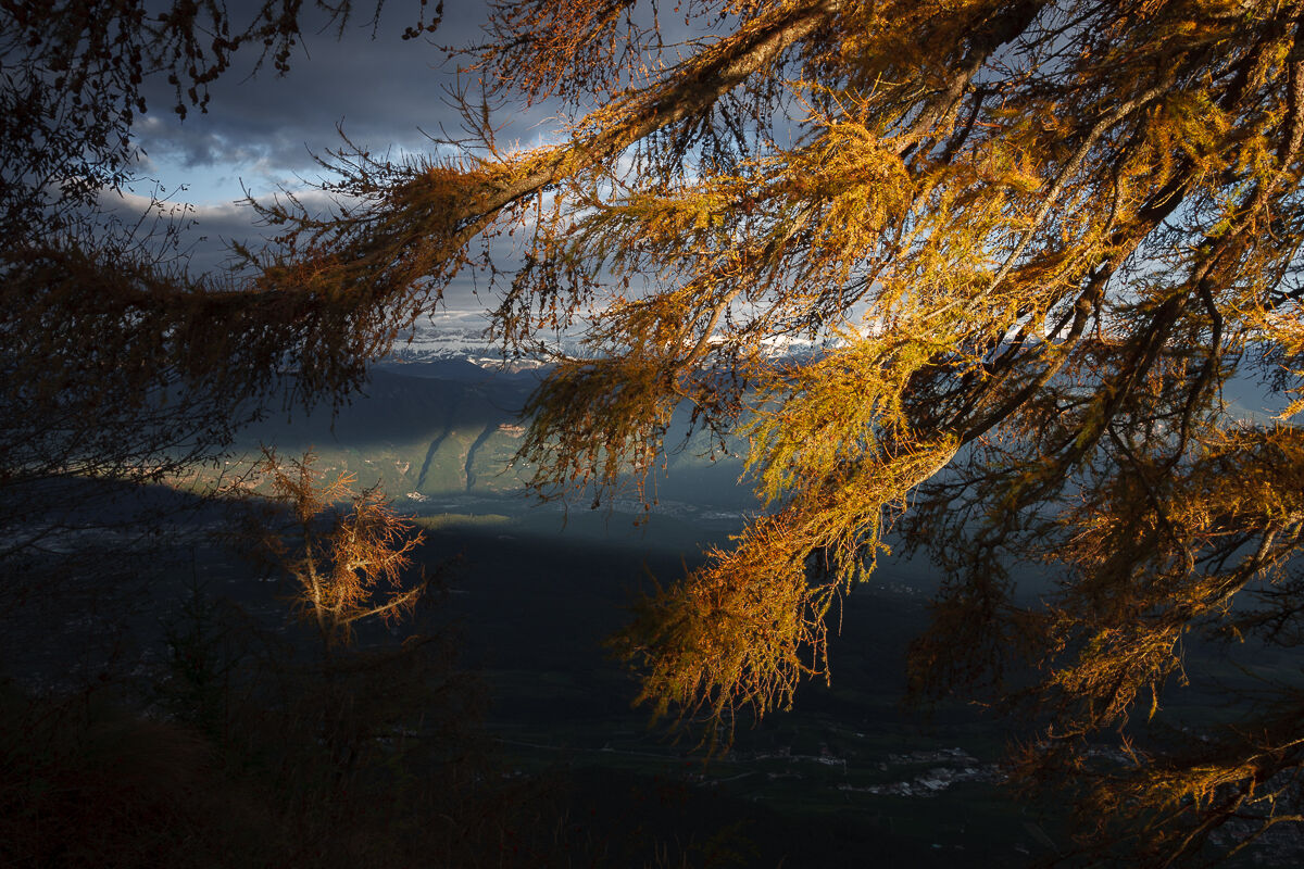 Il sipario dorato ...