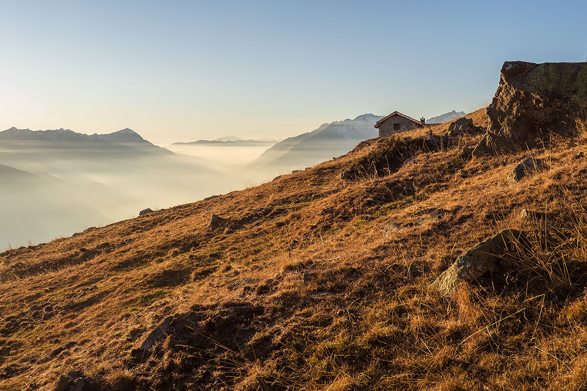 Il Rosa sta a guardare