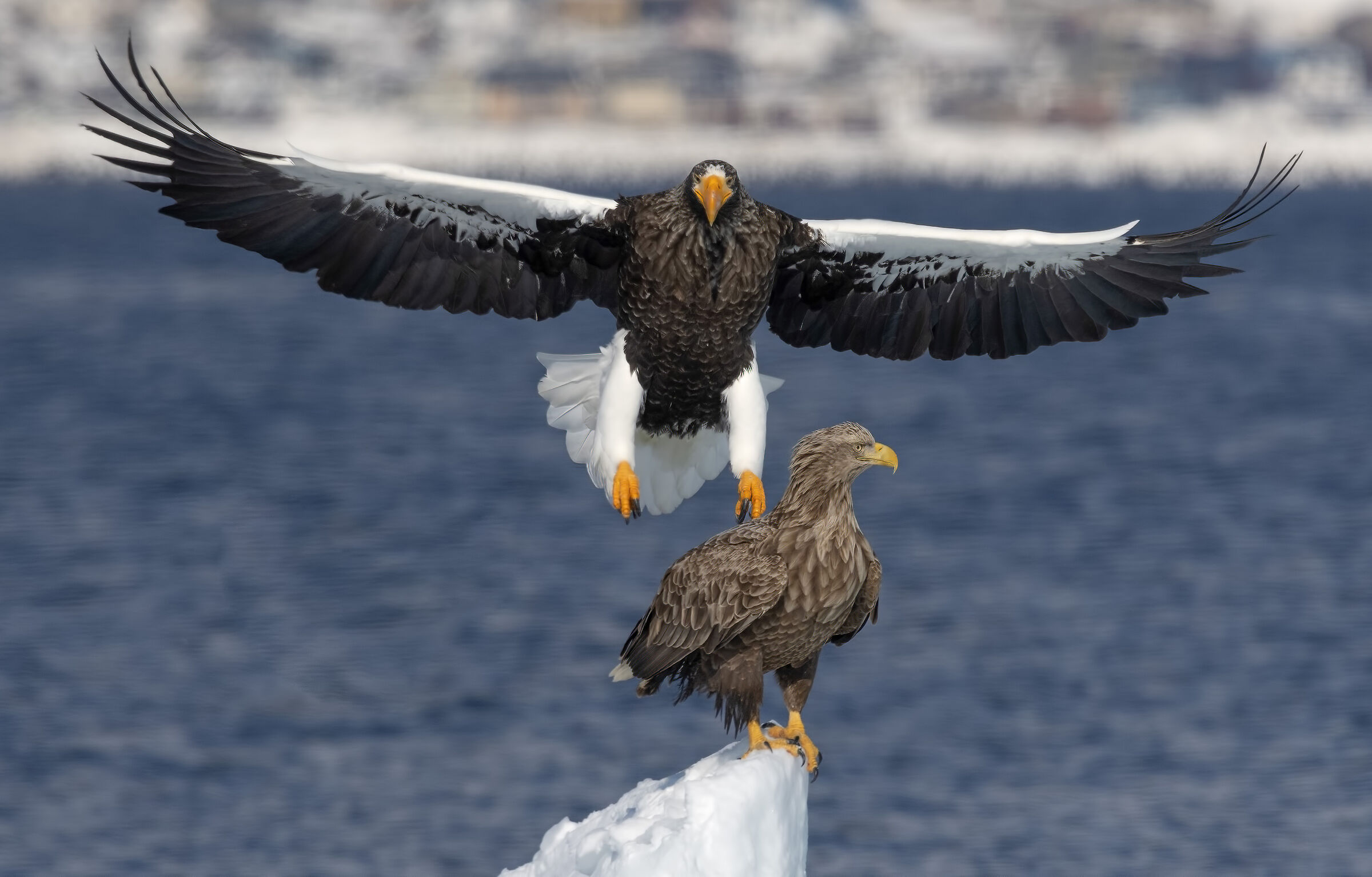 In rotta di collisione
