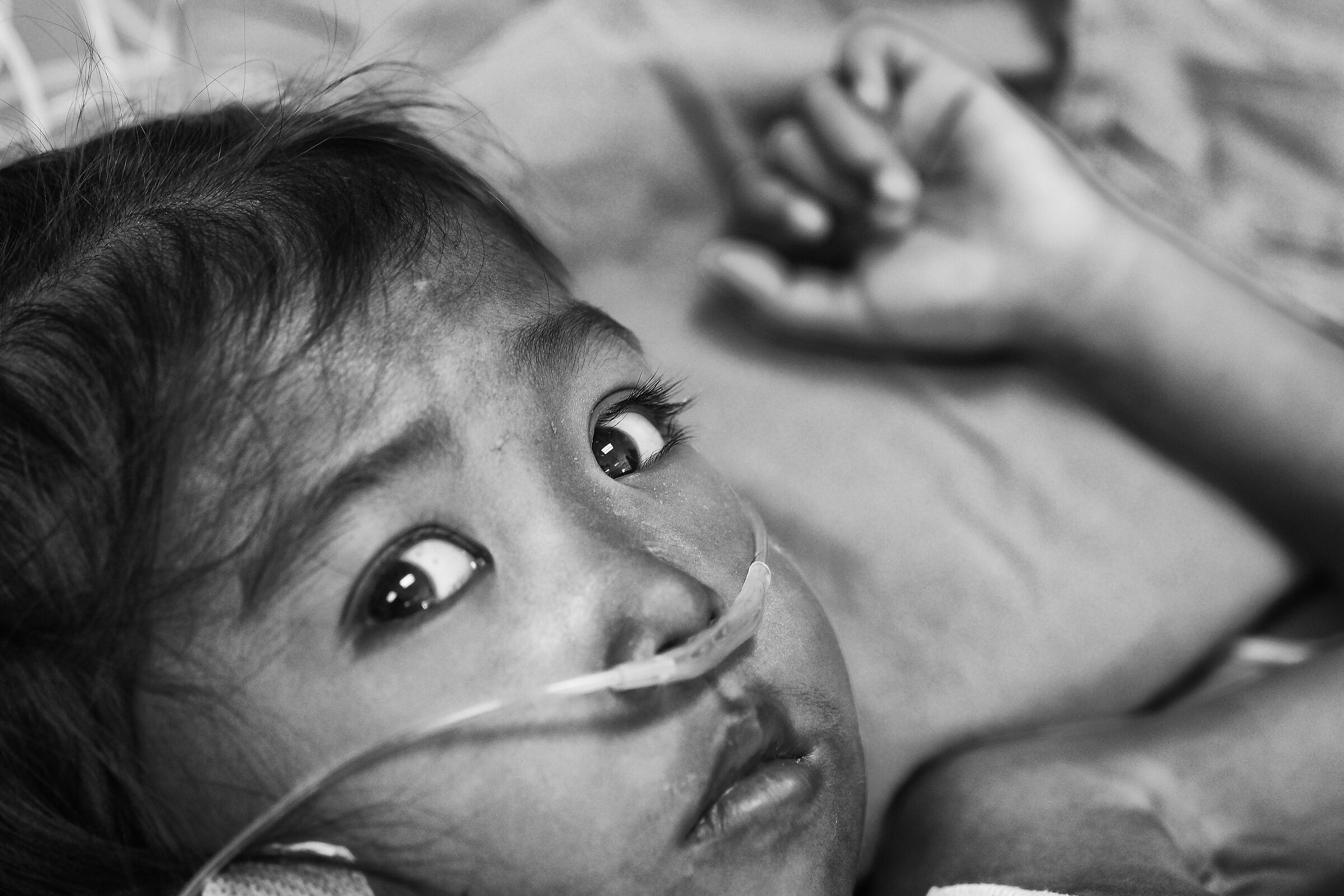 tutto è negli occhi