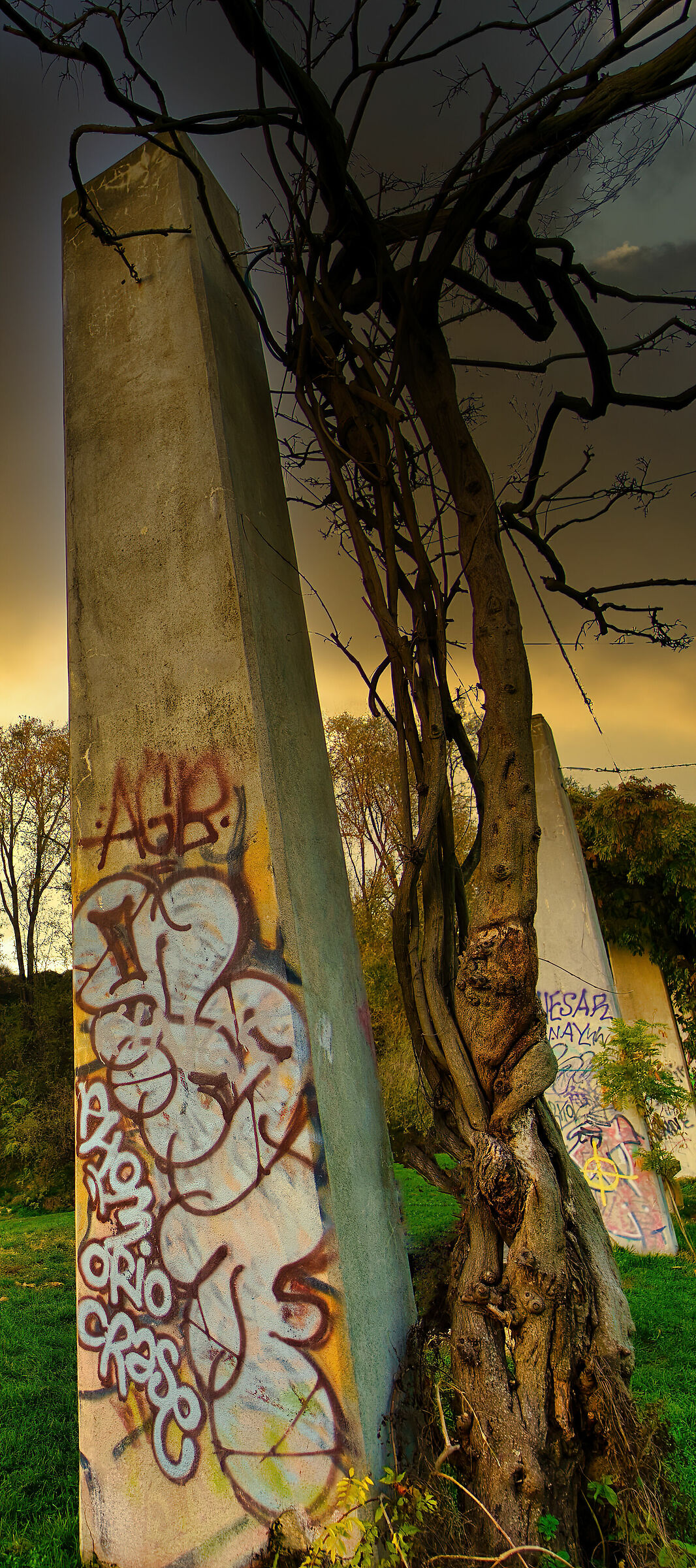Parco Nord Milano Autumn Time