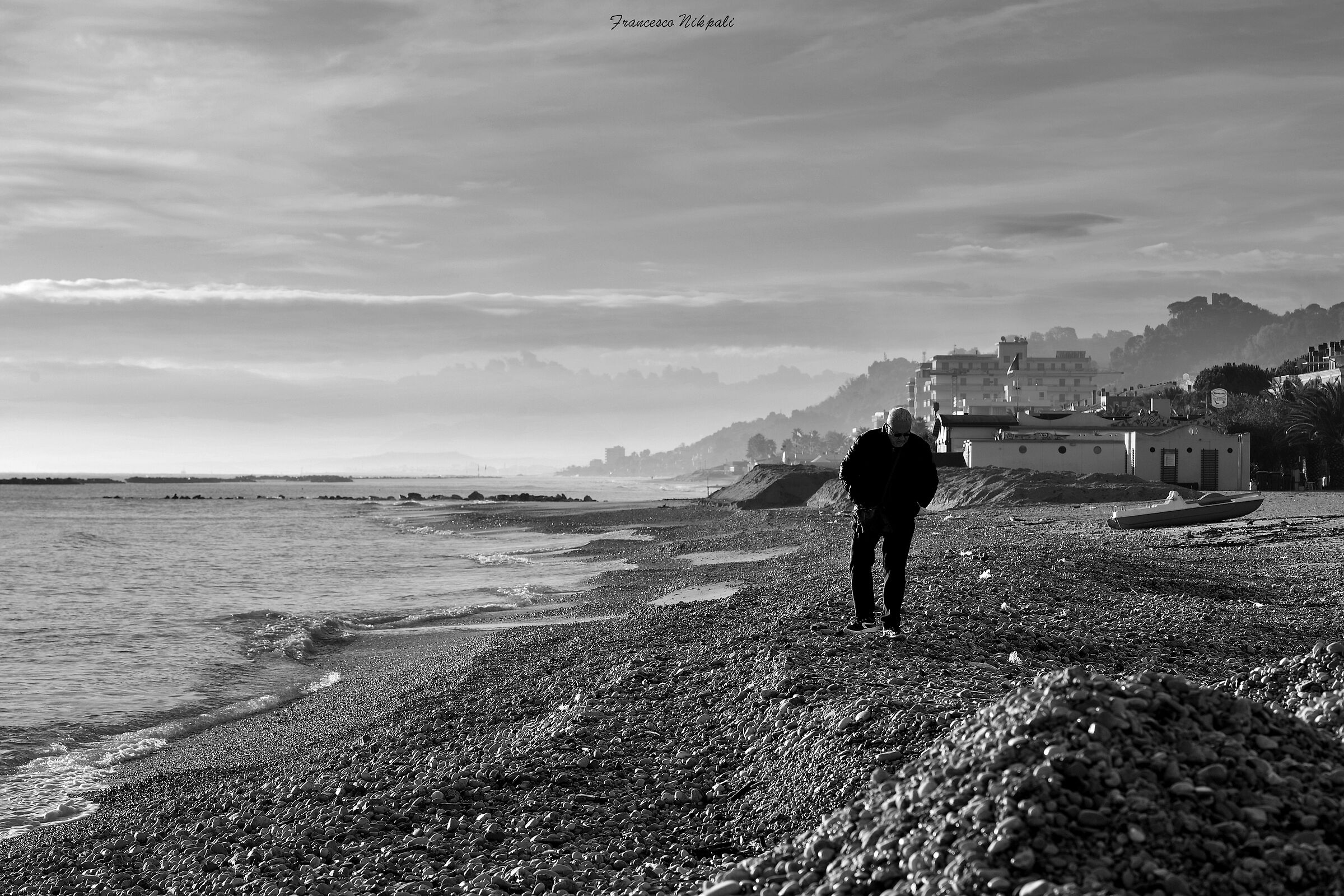 The Lonely