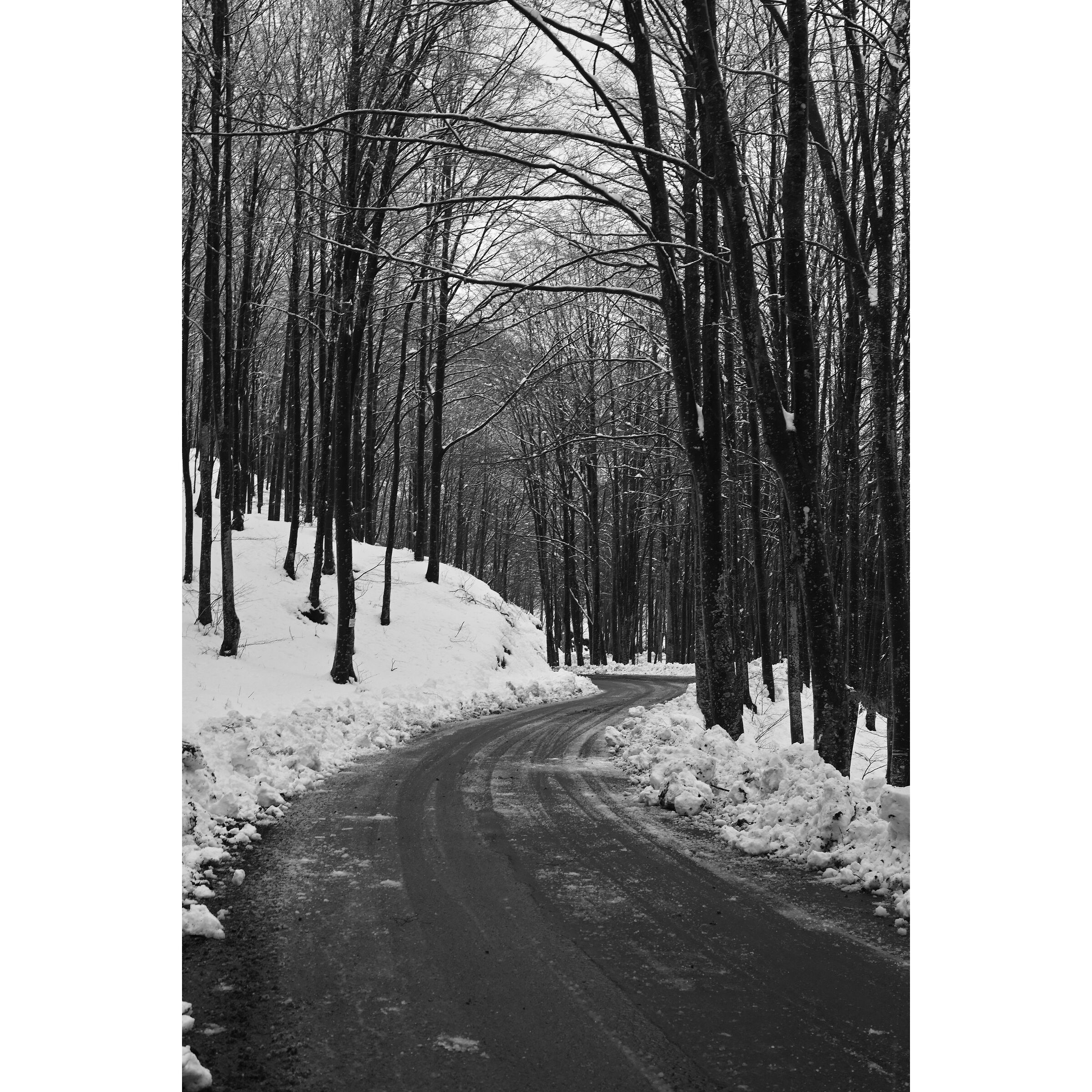 Untitled Photo