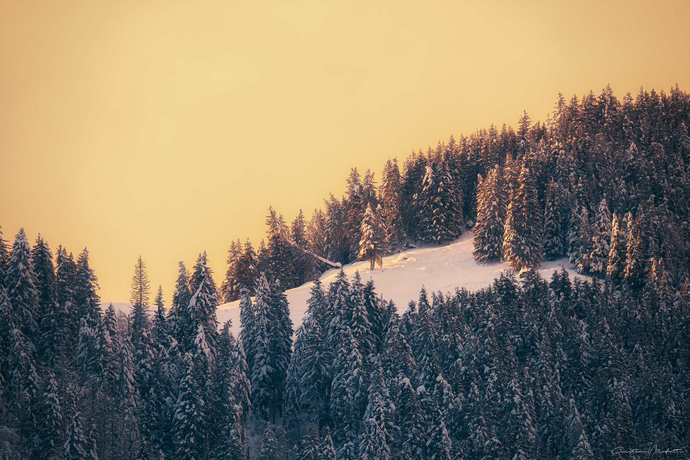 Winter lights