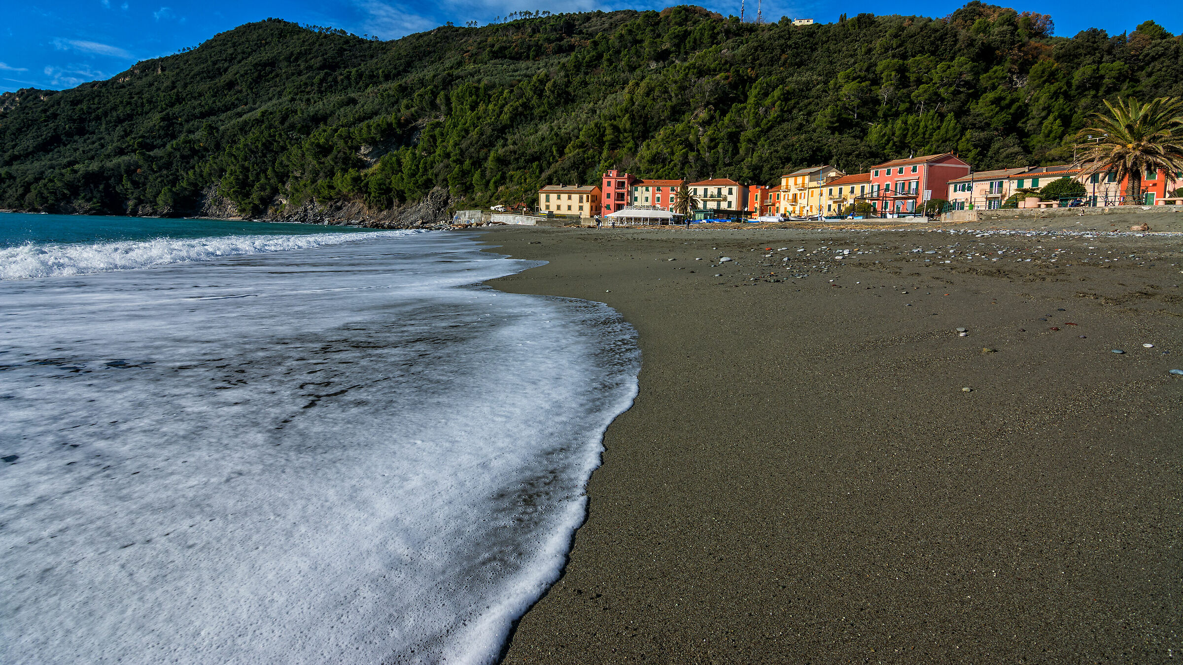 The Song of the West