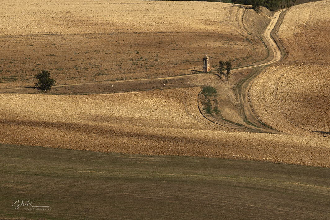 Trova la tua strada