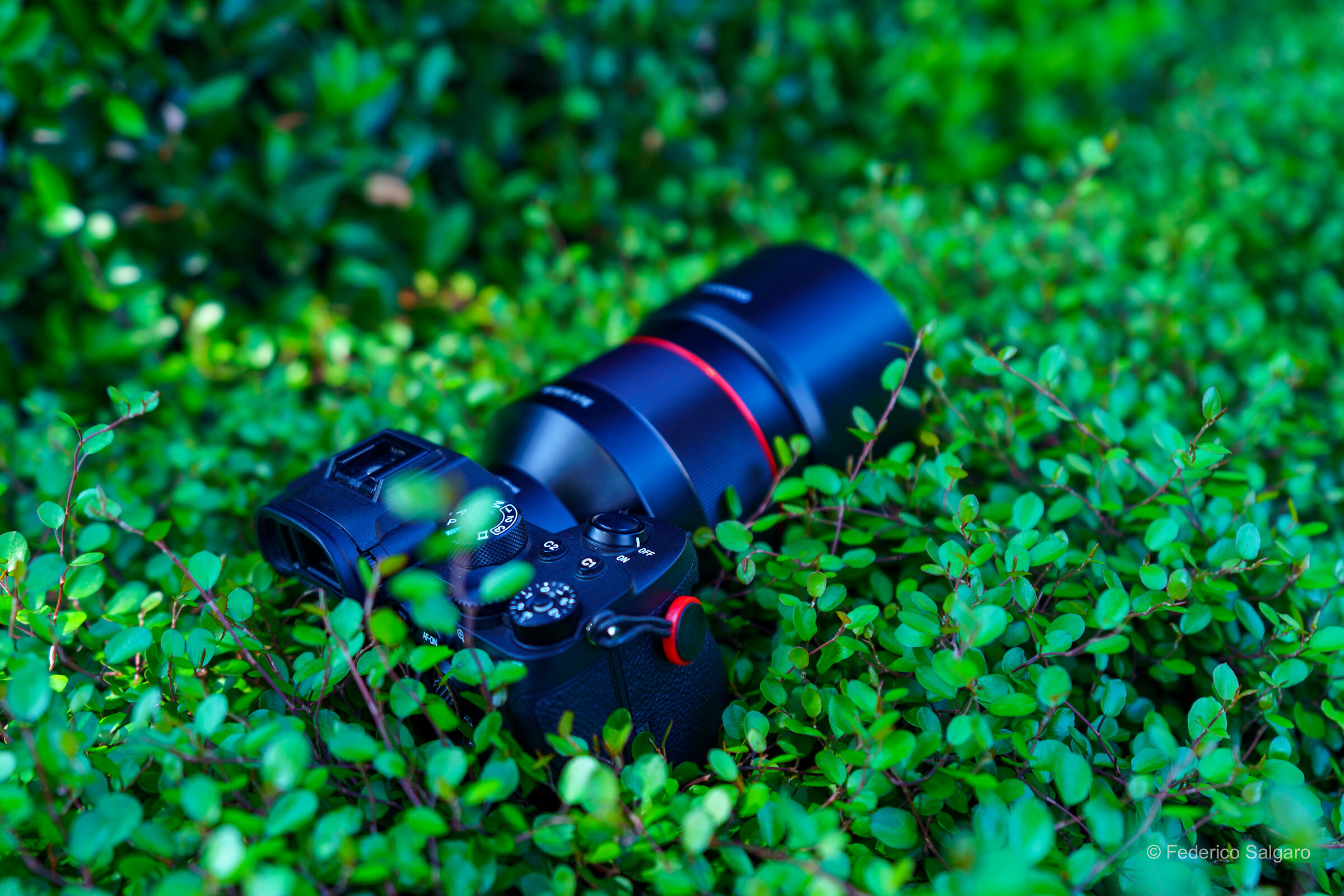 I frutti del duro lavoro