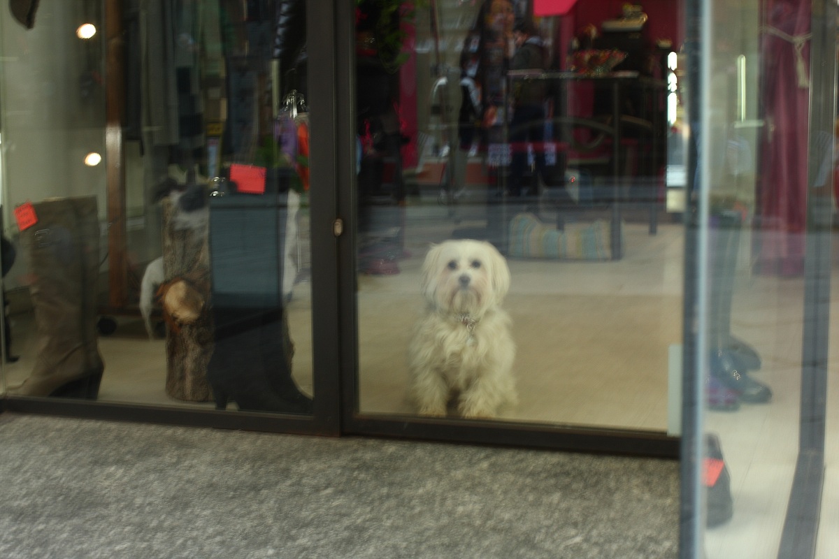 If you go you're dead!