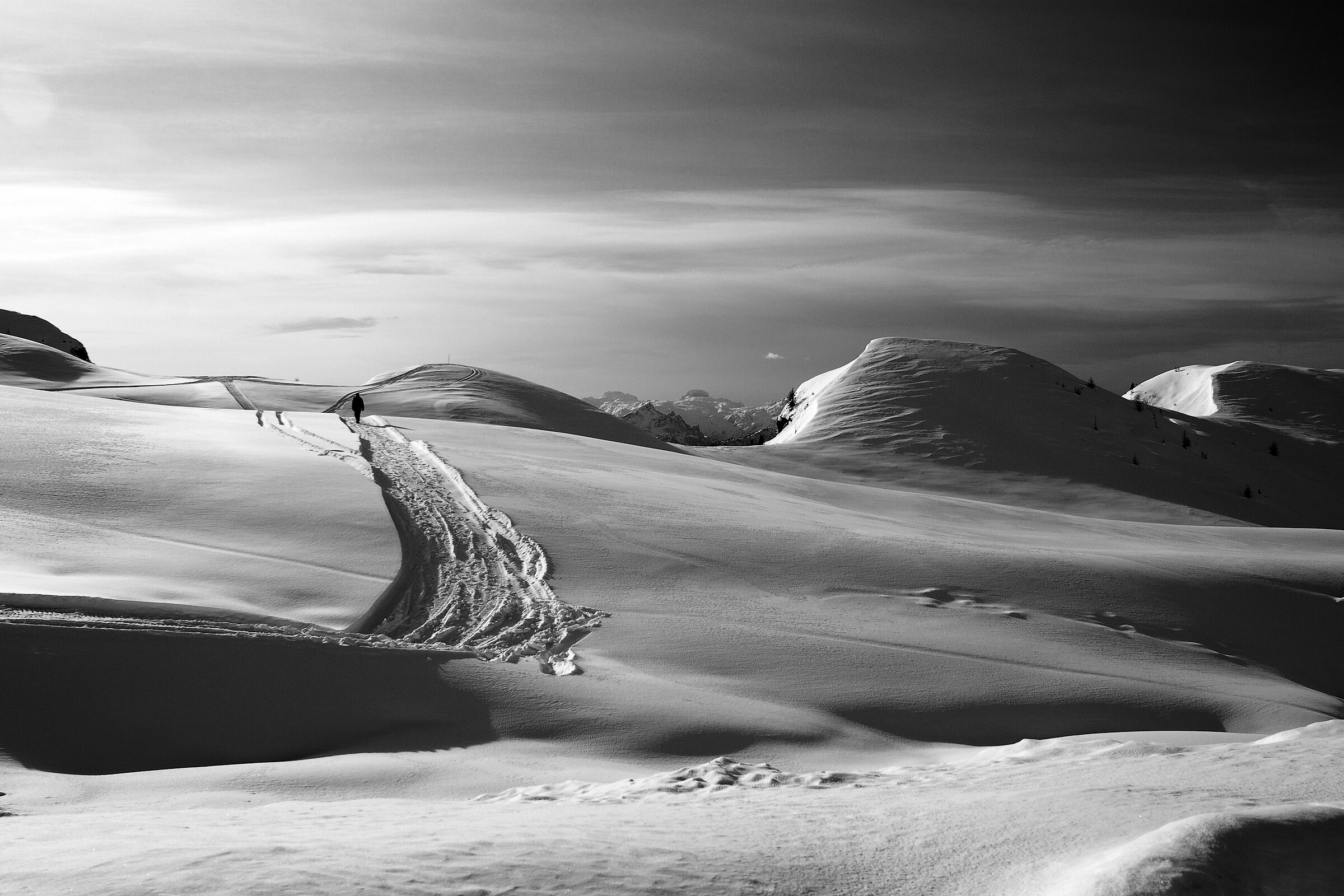 Snowwaves