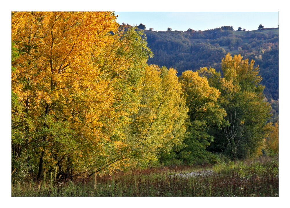 L'autunno 2020 dalle mie parti_08 (fiume Enza)