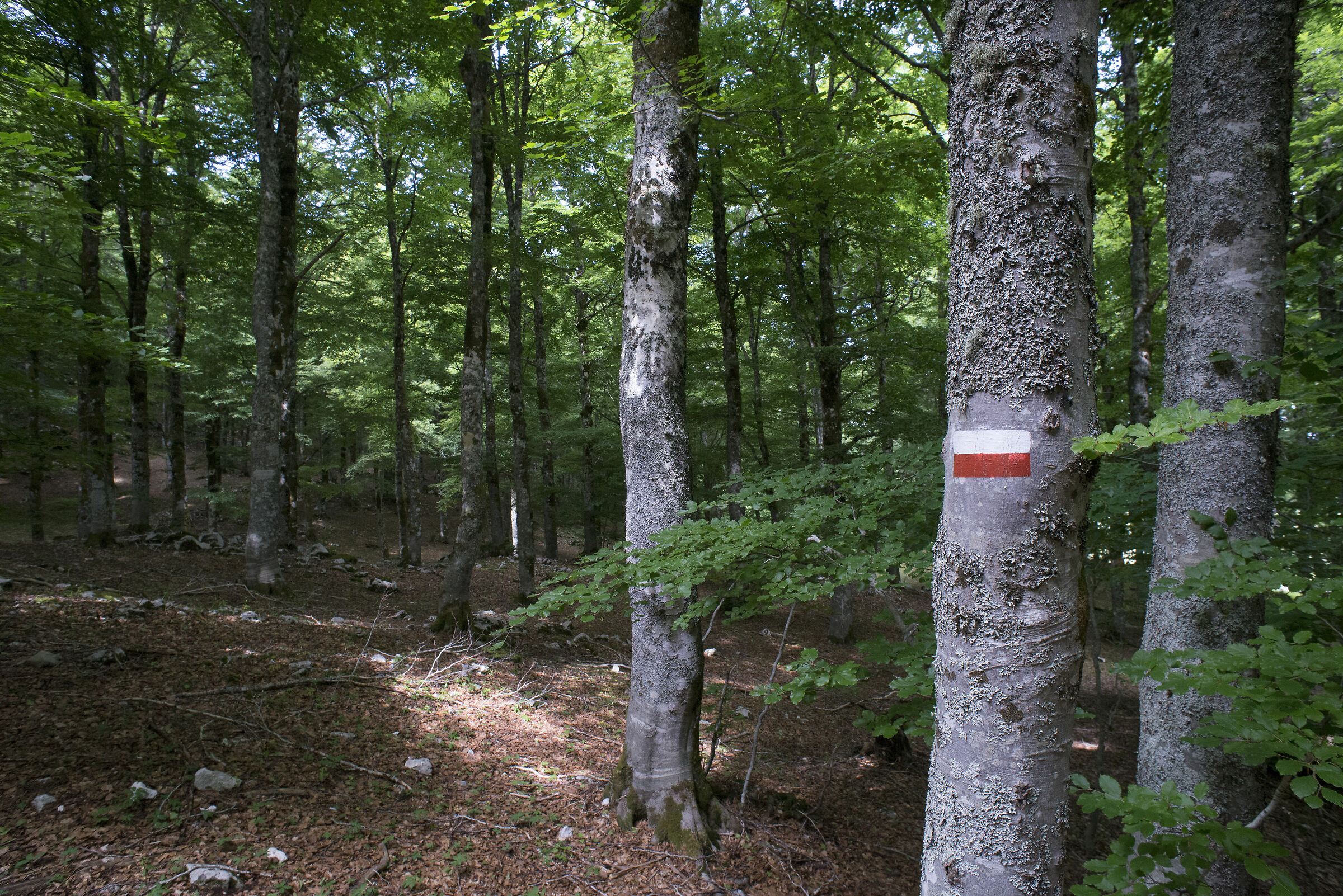 Passo di Forca D'Acero