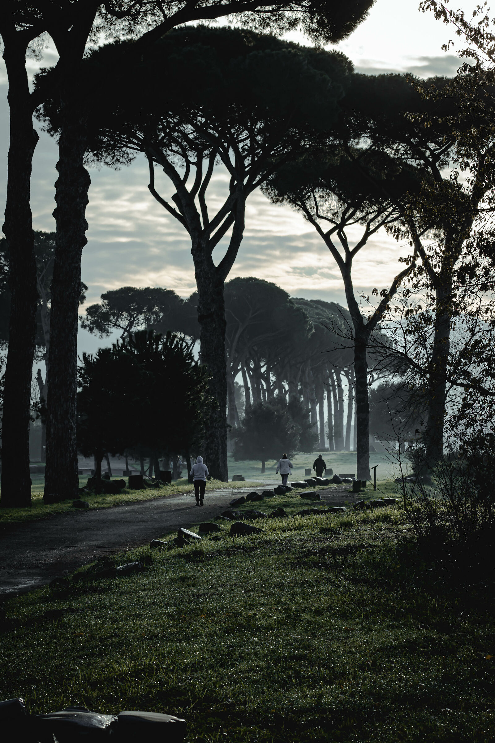 Jogging presto presto