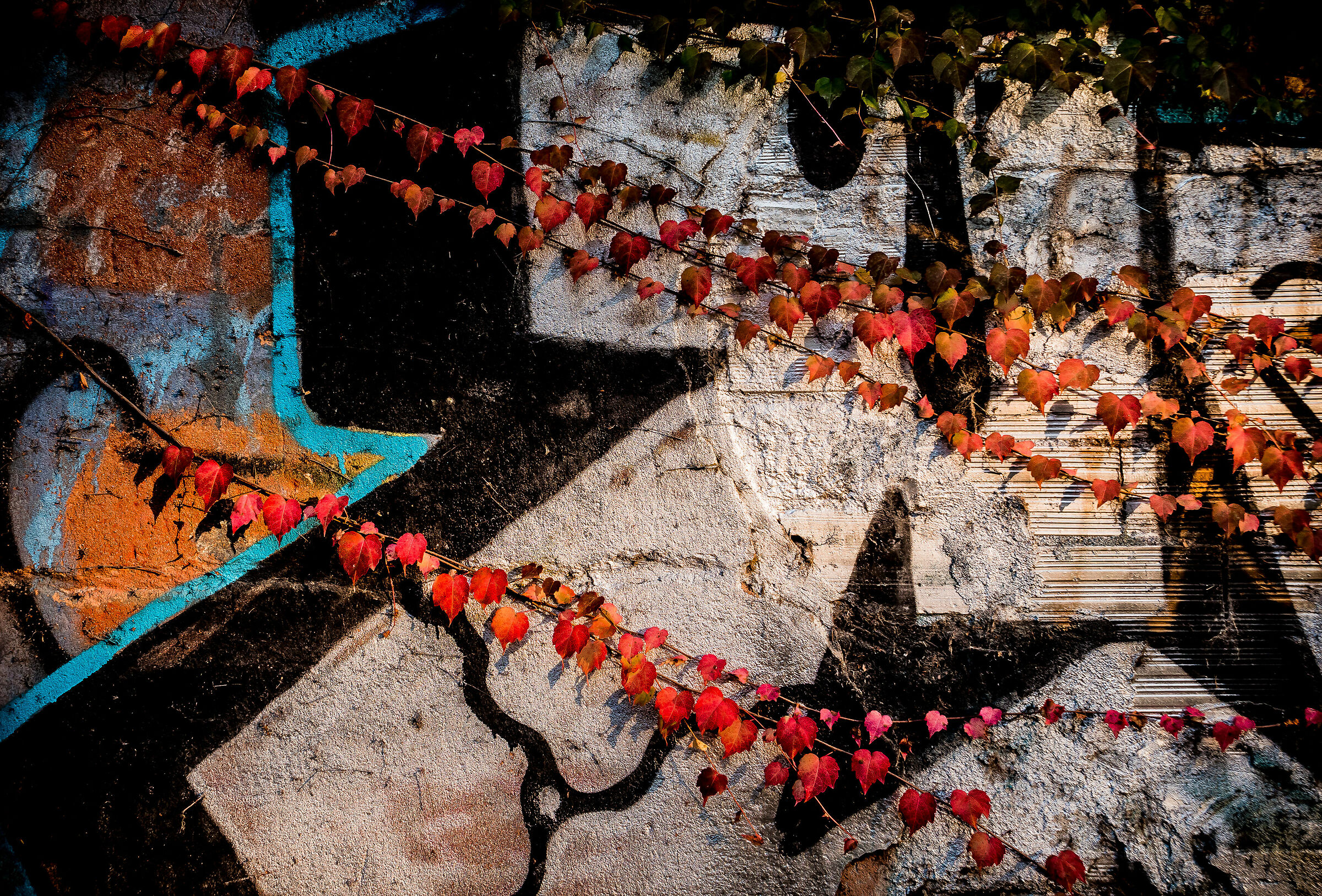 urban autumn strips......