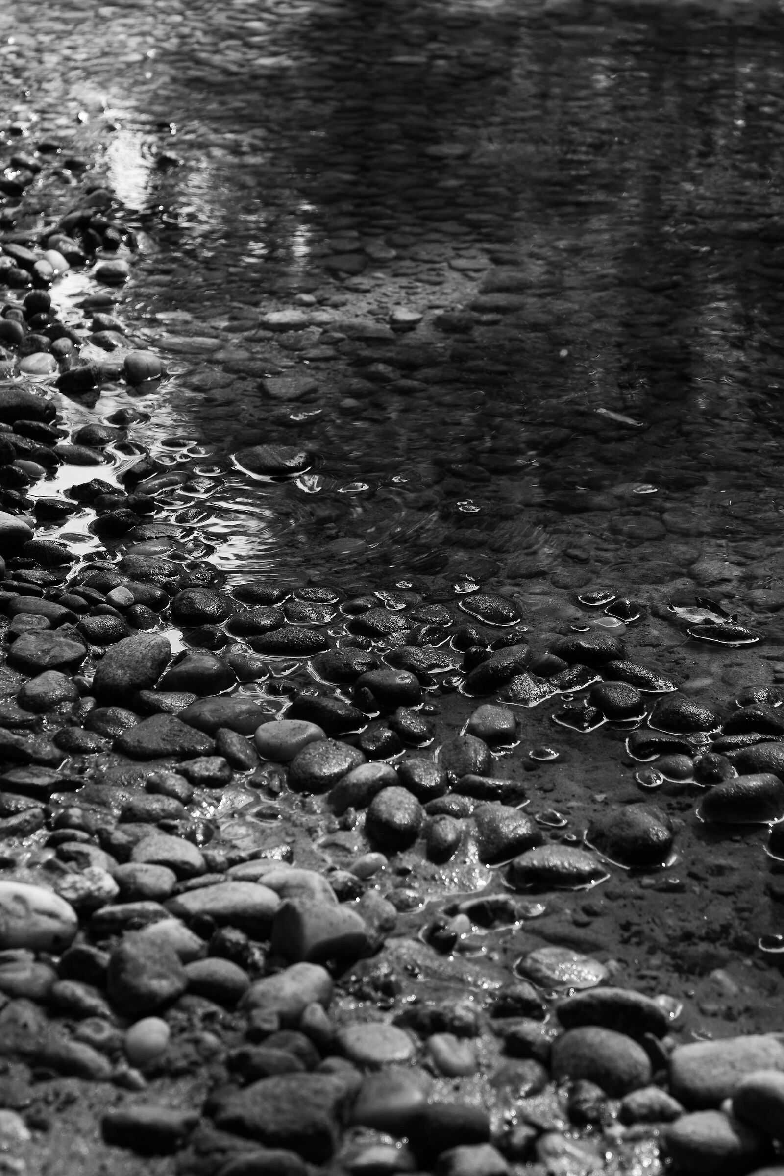 La Pheasant Park Center