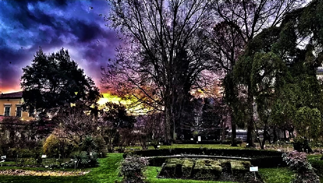 giardino in Torino...