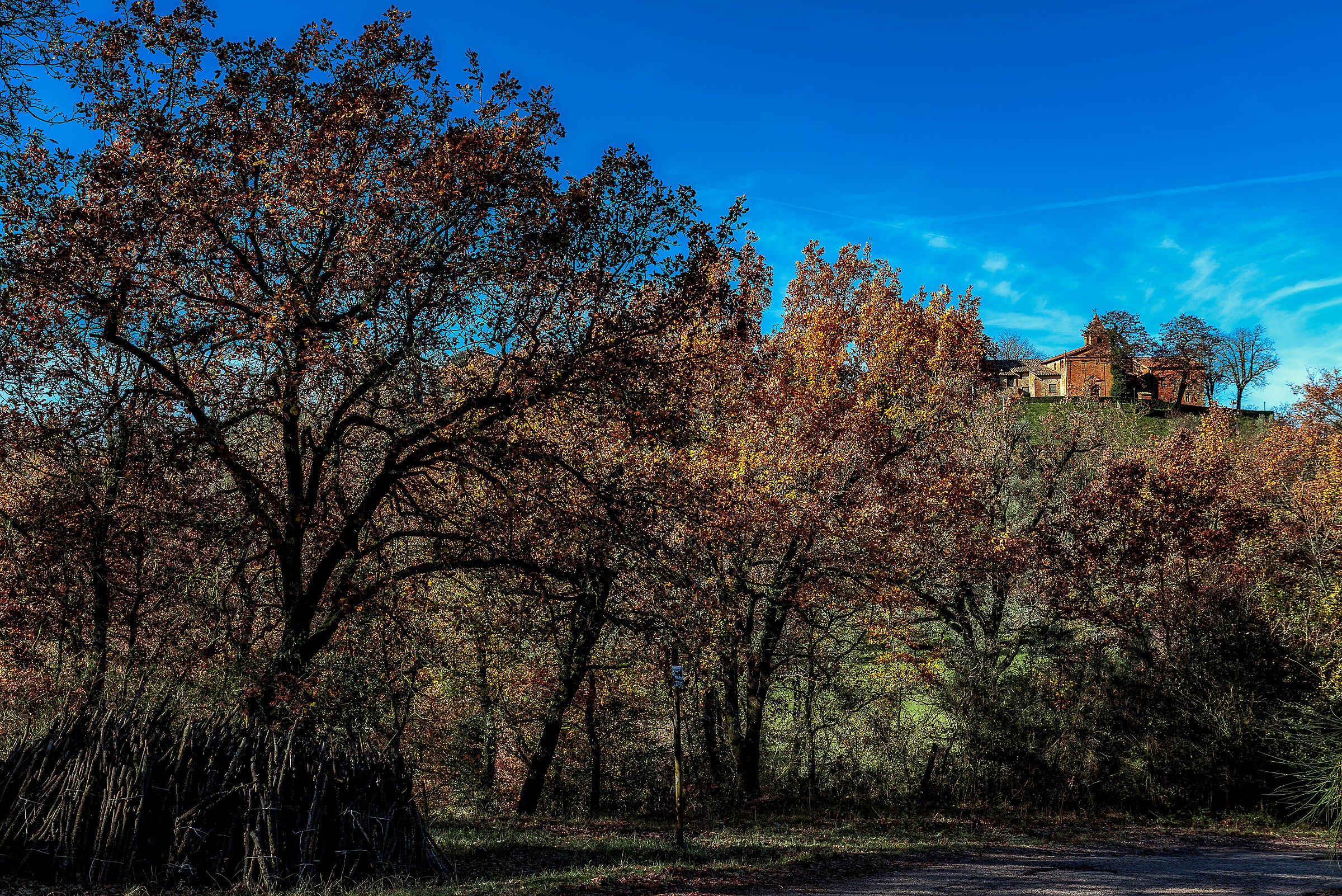 san biagio chiesa presso citta' della pieve