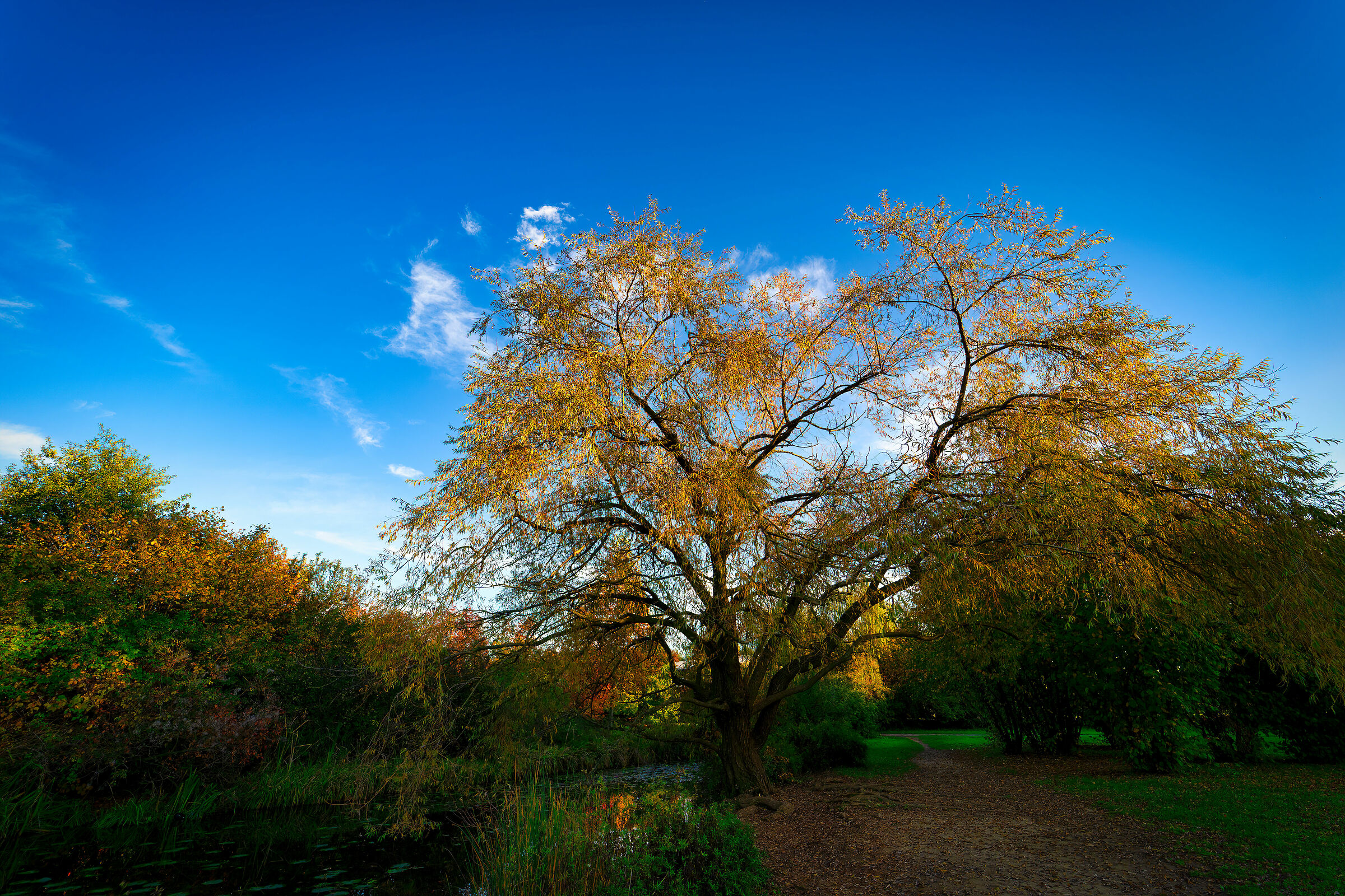 North Milan Autumn Time