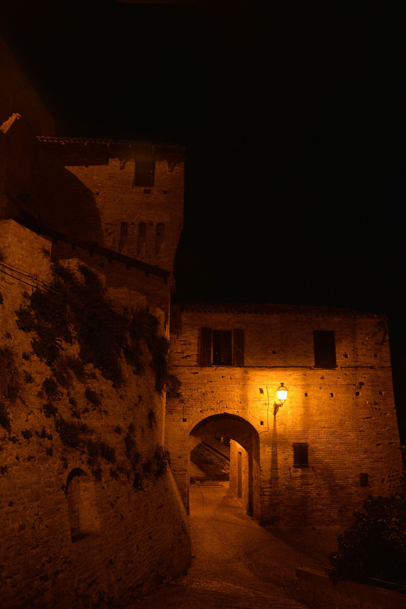 Nel silenzio assoluto