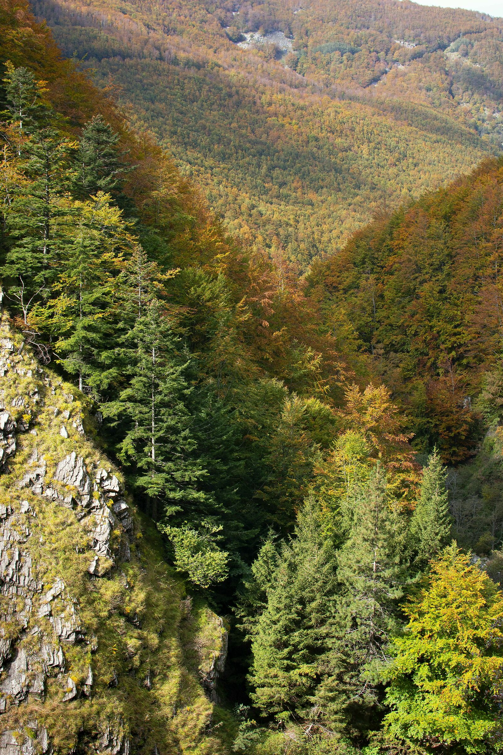 Scorcio sulla val d'ozola (Ligonchio, RE)