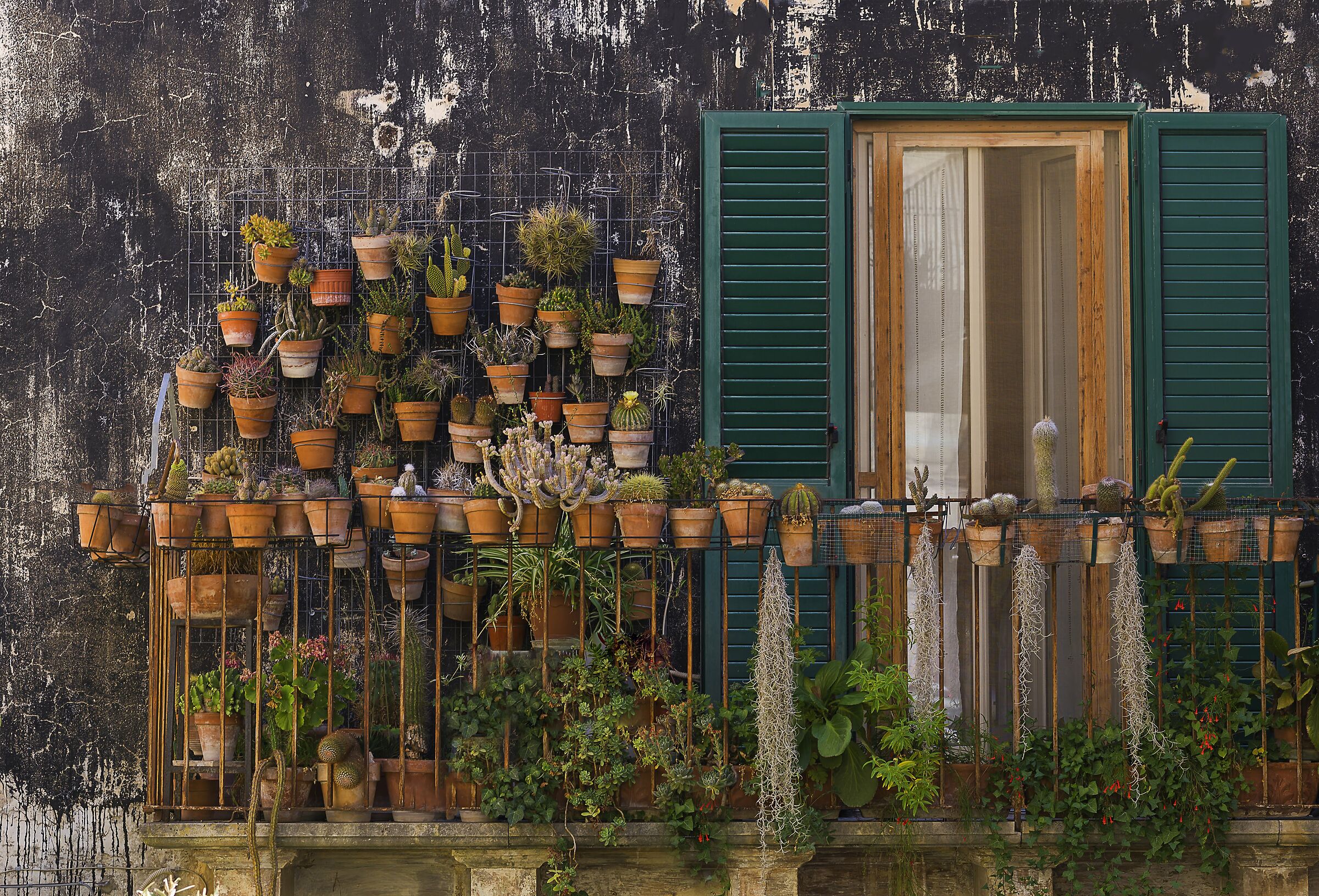 I water for a moment and come back......