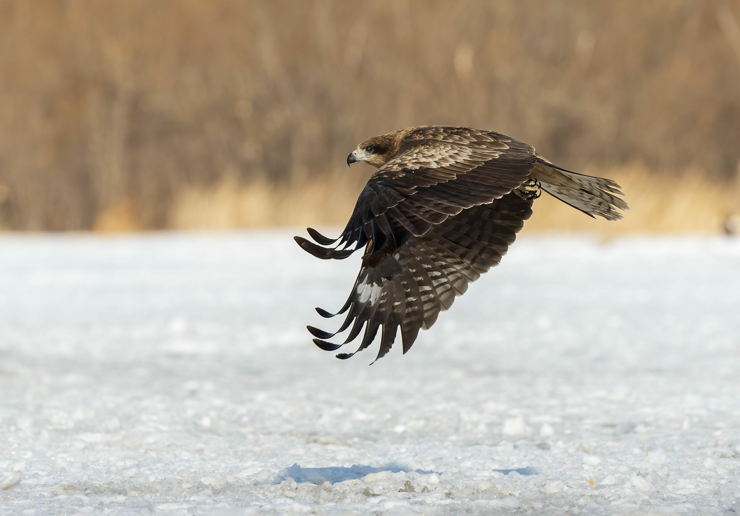 Nap Of The Earth (noe)