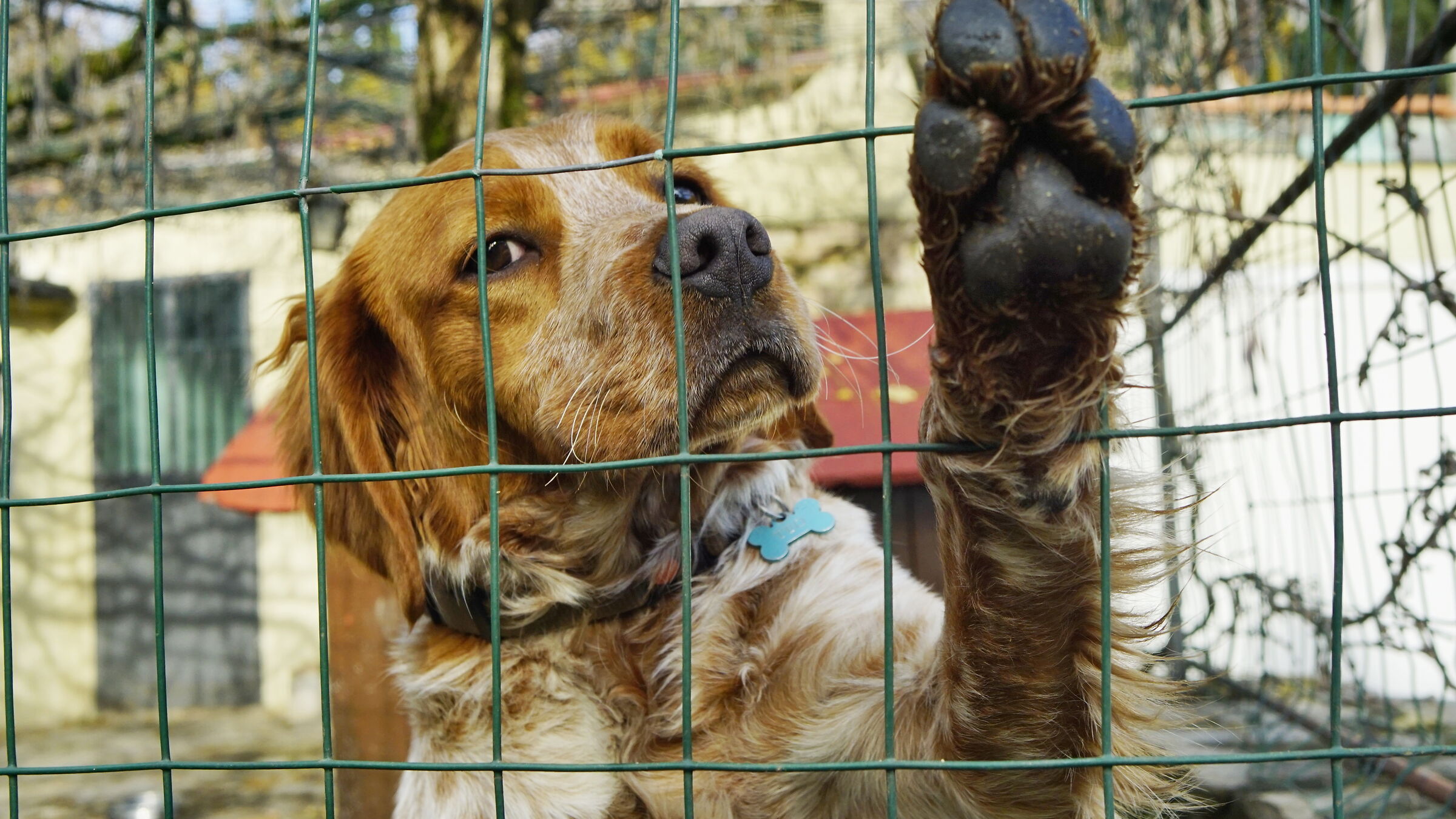 . . . Dammi il cinque !!!!