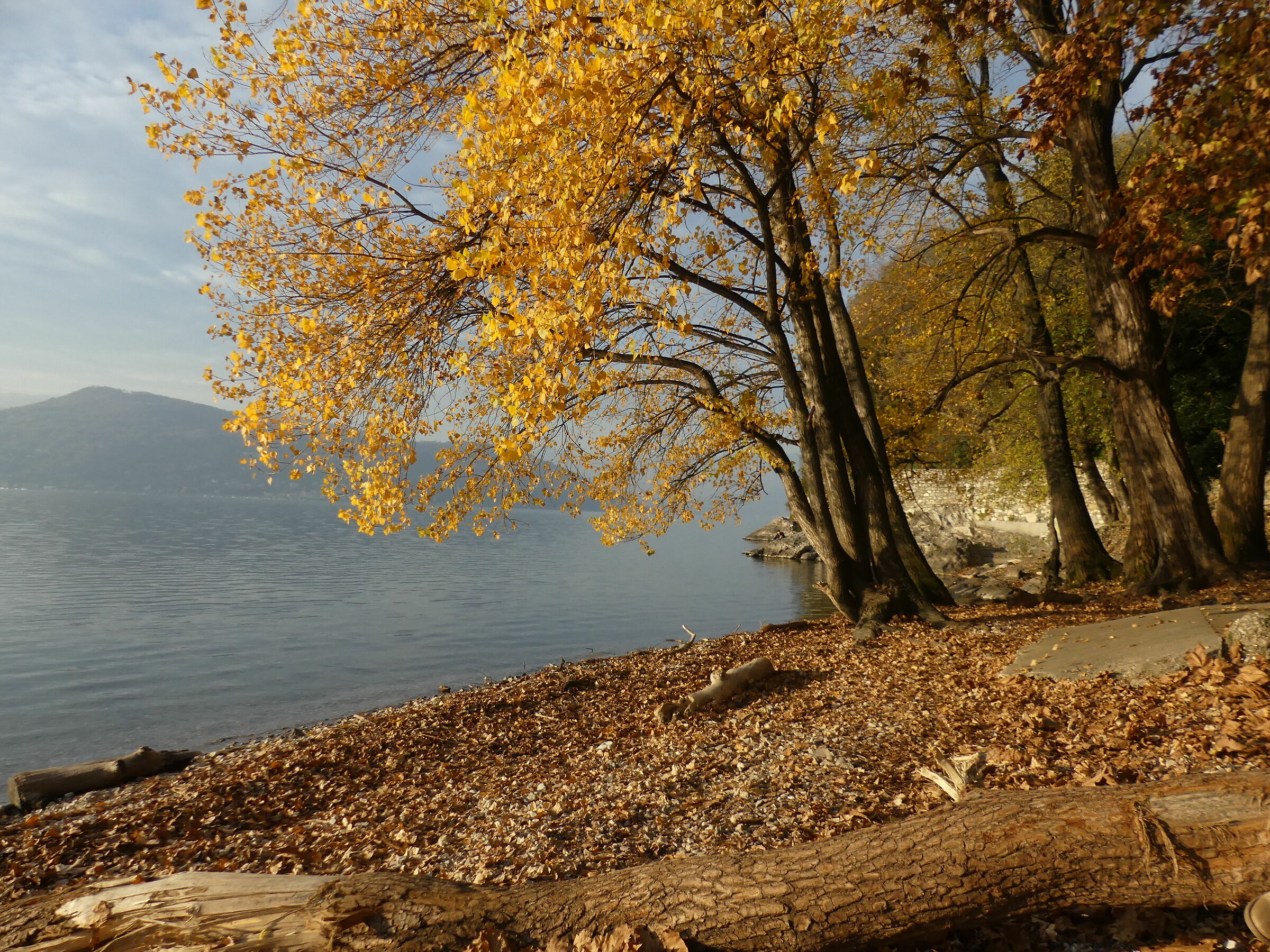 Ispra (Lake Maggiore)