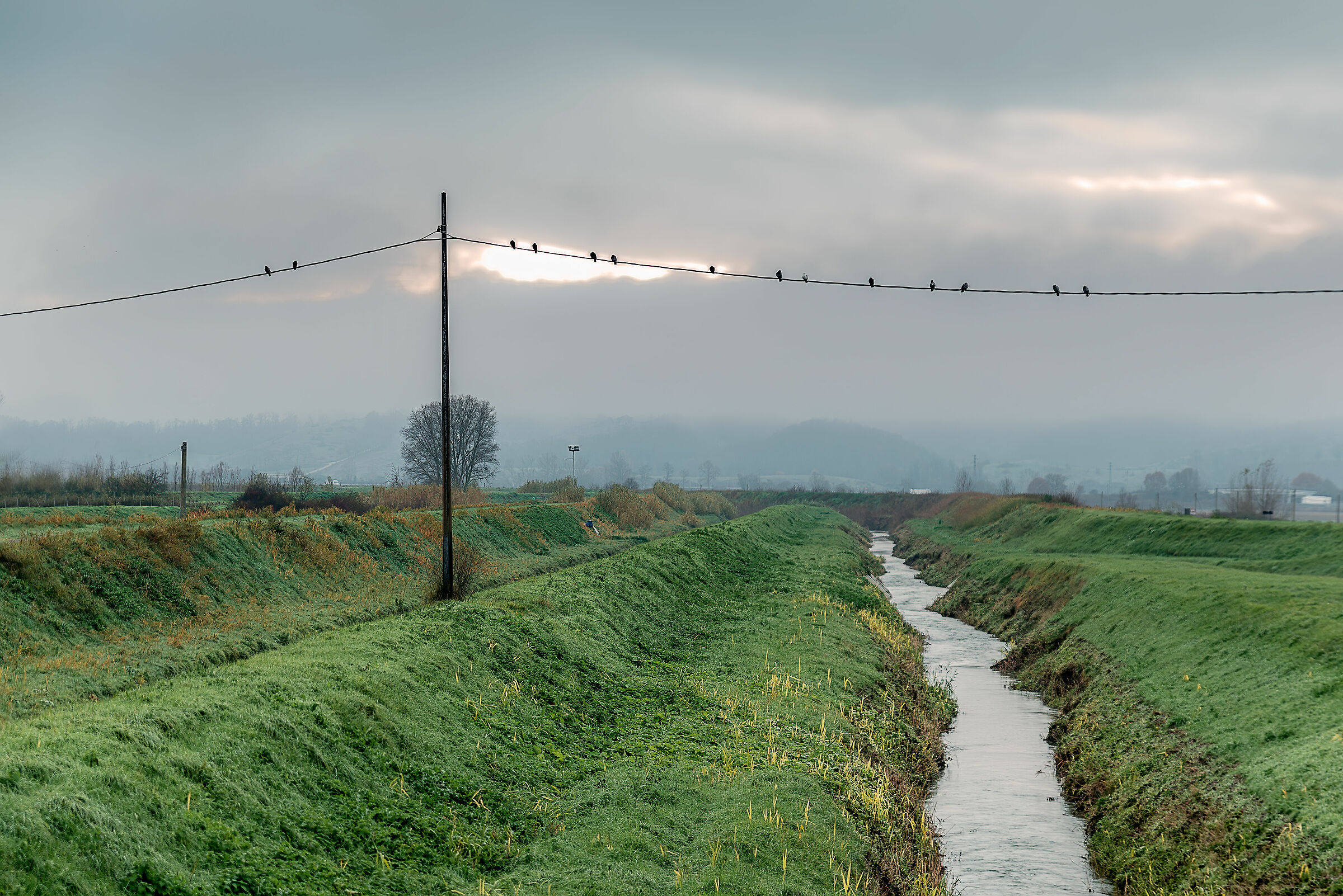 la nostra " bassa" .....val di chiana sud
