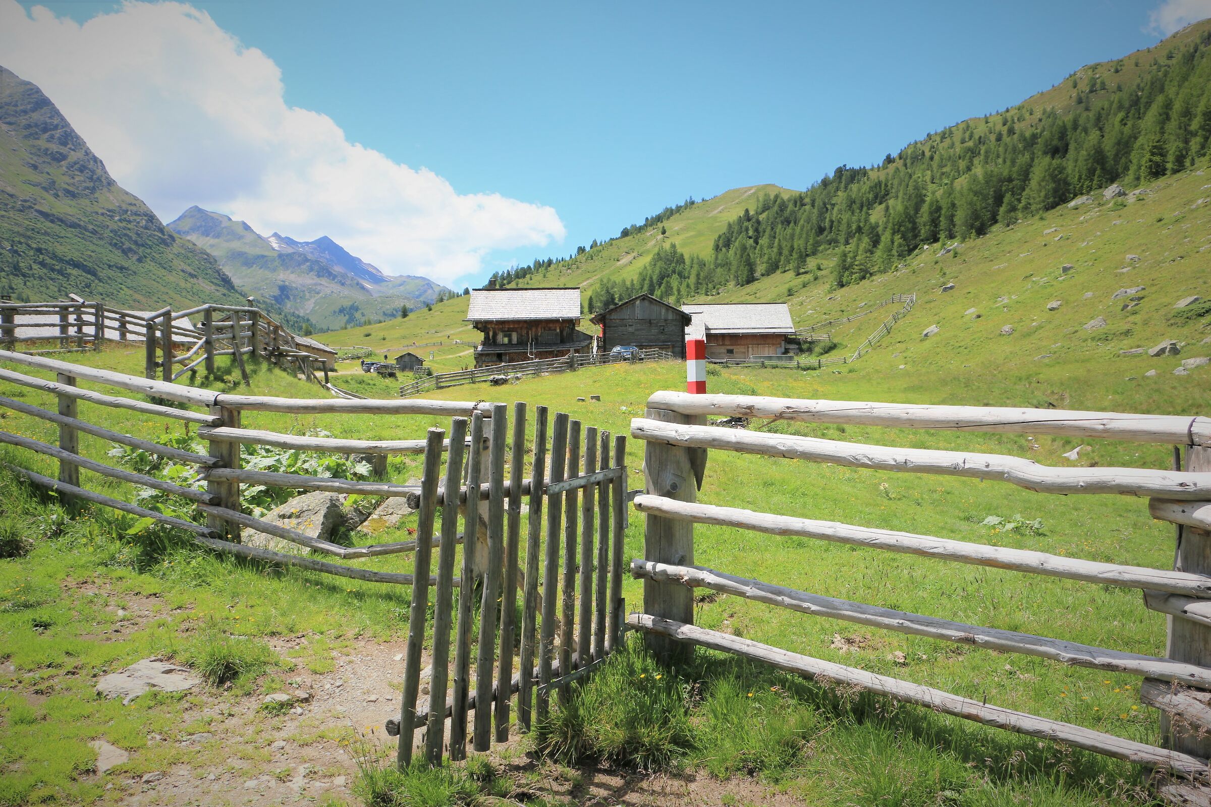 Up there in the mountains.....