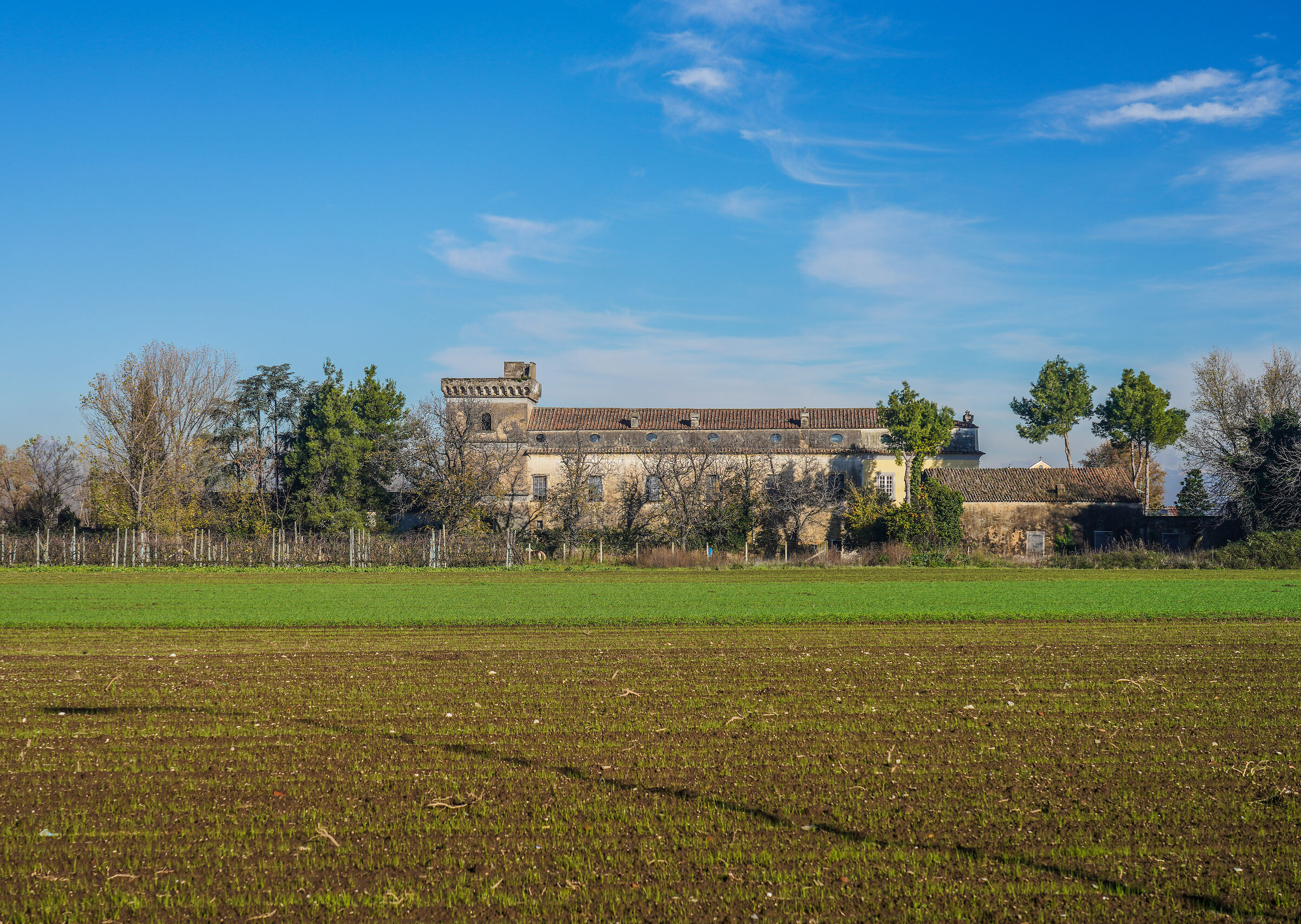 Casale di Teverolaccio Succivo